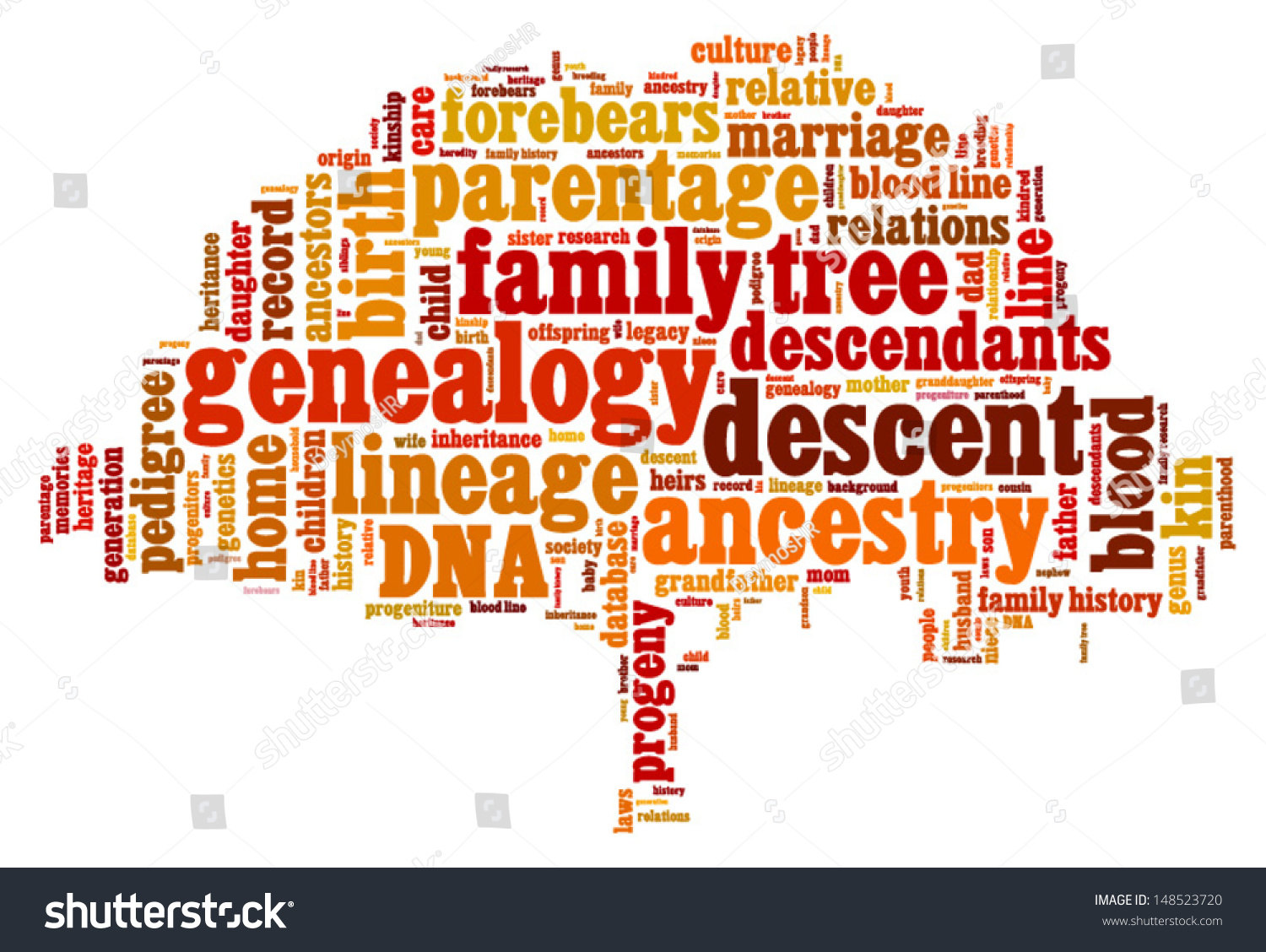 Conceptual Vector Tag Cloud Containing Words Stock Vector 148523720 ...