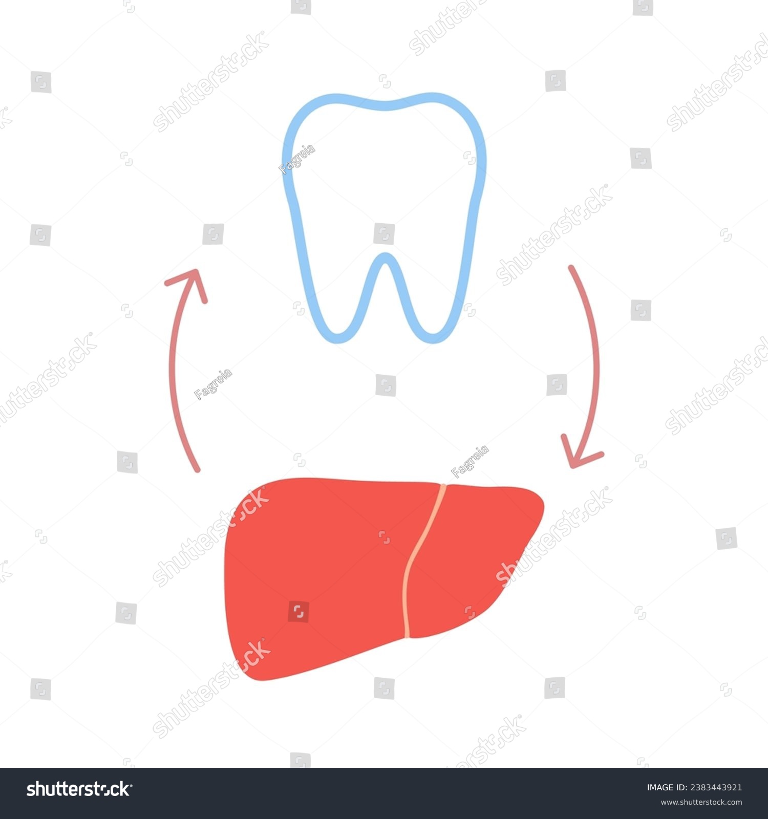 SVG of Connection of healthy teeth and liver. Relation health of human liver and tooth. Hepatic and chewing unity. Vector illustration svg