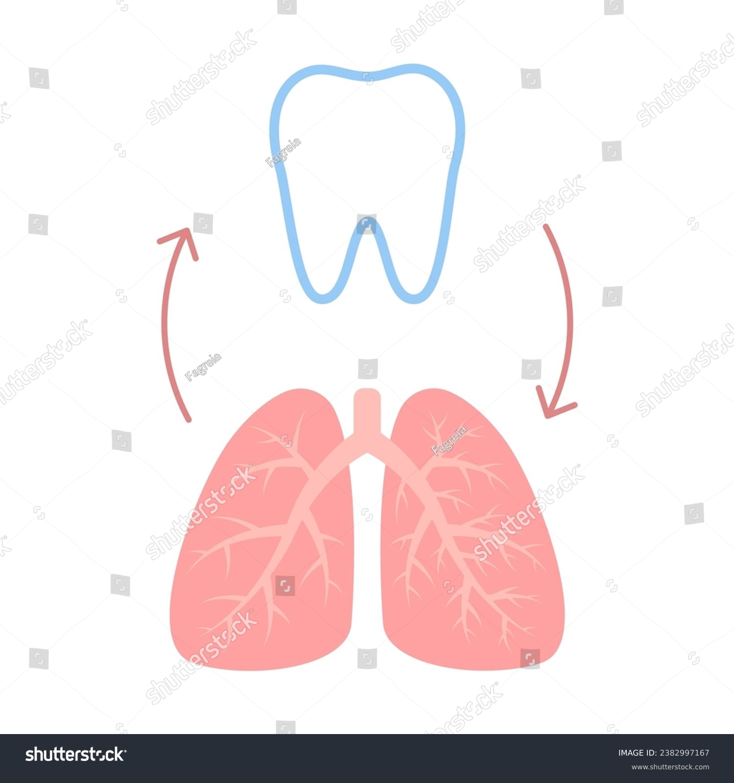SVG of Connection of healthy teeth and lungs. Relation health of human breathing and tooth. Respiratory and chewing unity. Vector illustration svg