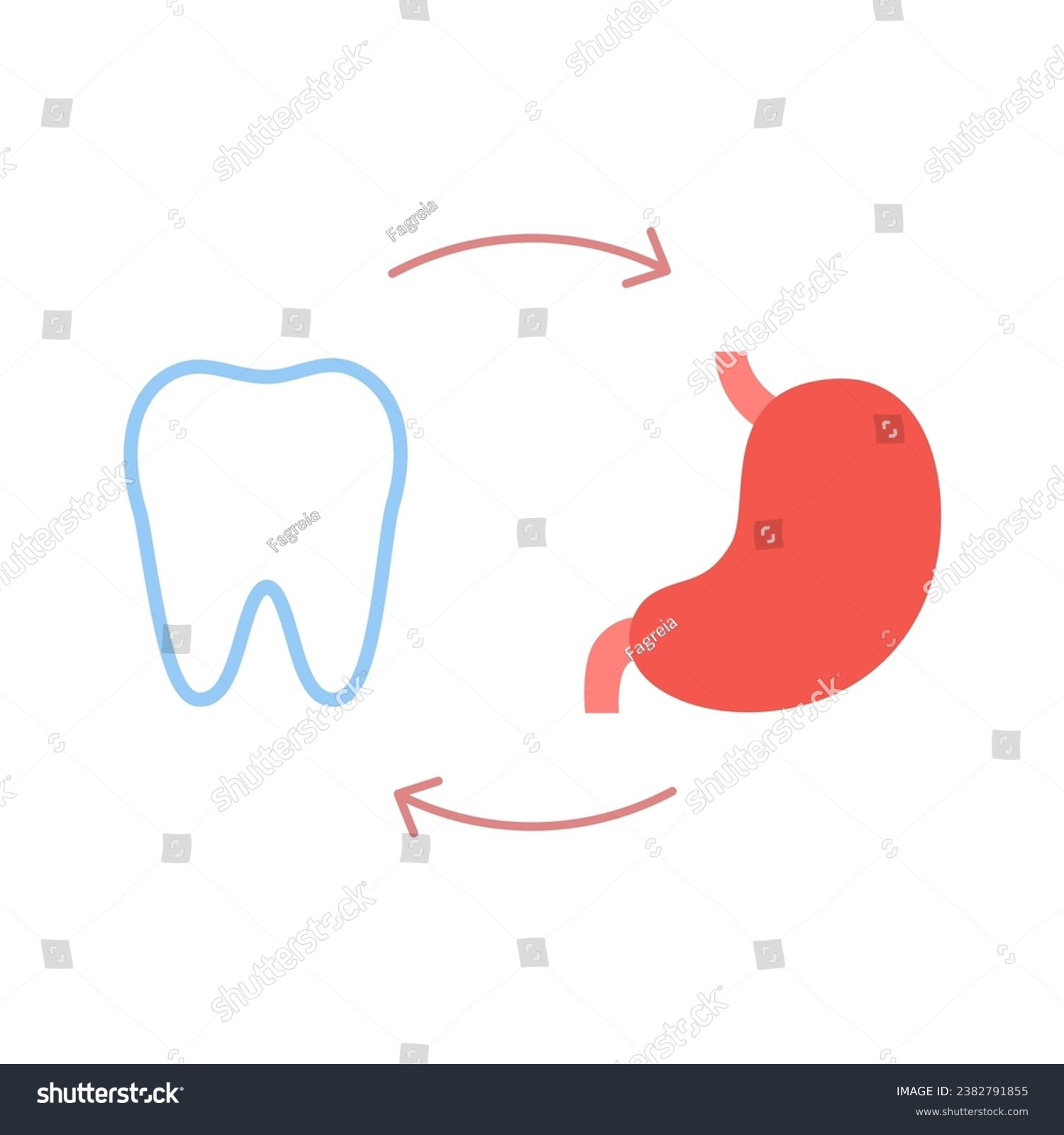 SVG of Connection of healthy teeth and stomach. Relation health of human stomach and tooth. Gastric digestion and chewing unity. Vector illustration svg