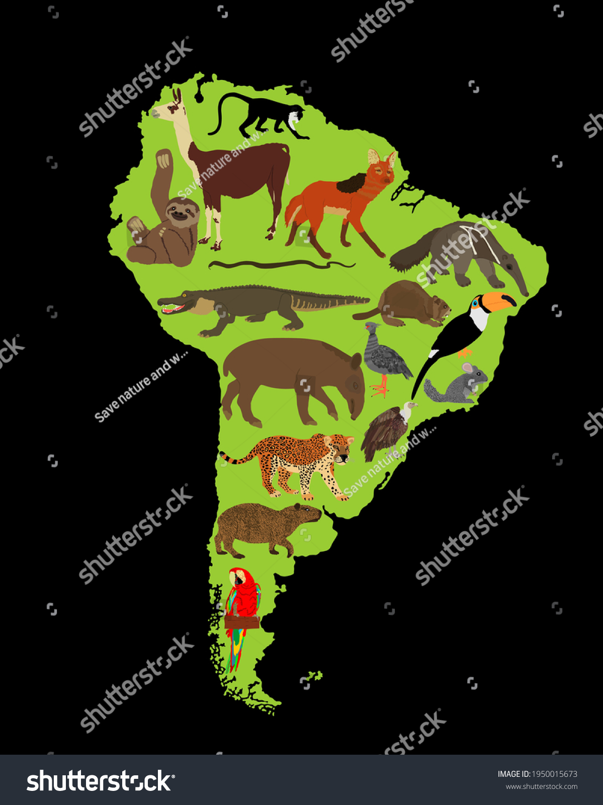 Continent Map Southern America Vector Illustration Stock Vector ...