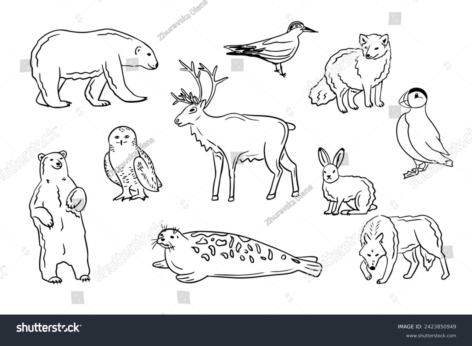 SVG of Contour hand drawn arctic animals and birds set. Doodle outline polar bear, reindeer, snow owl, Atlantic puffin on white background. Ideal for coloring pages, tattoo, pattern svg