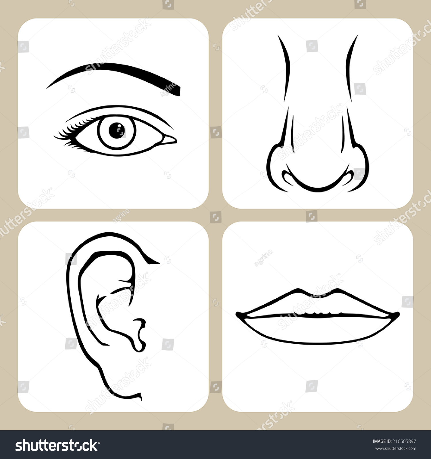Contour Image Of Nose, Eye, Mouth, Ear Stock Vector Illustration ...