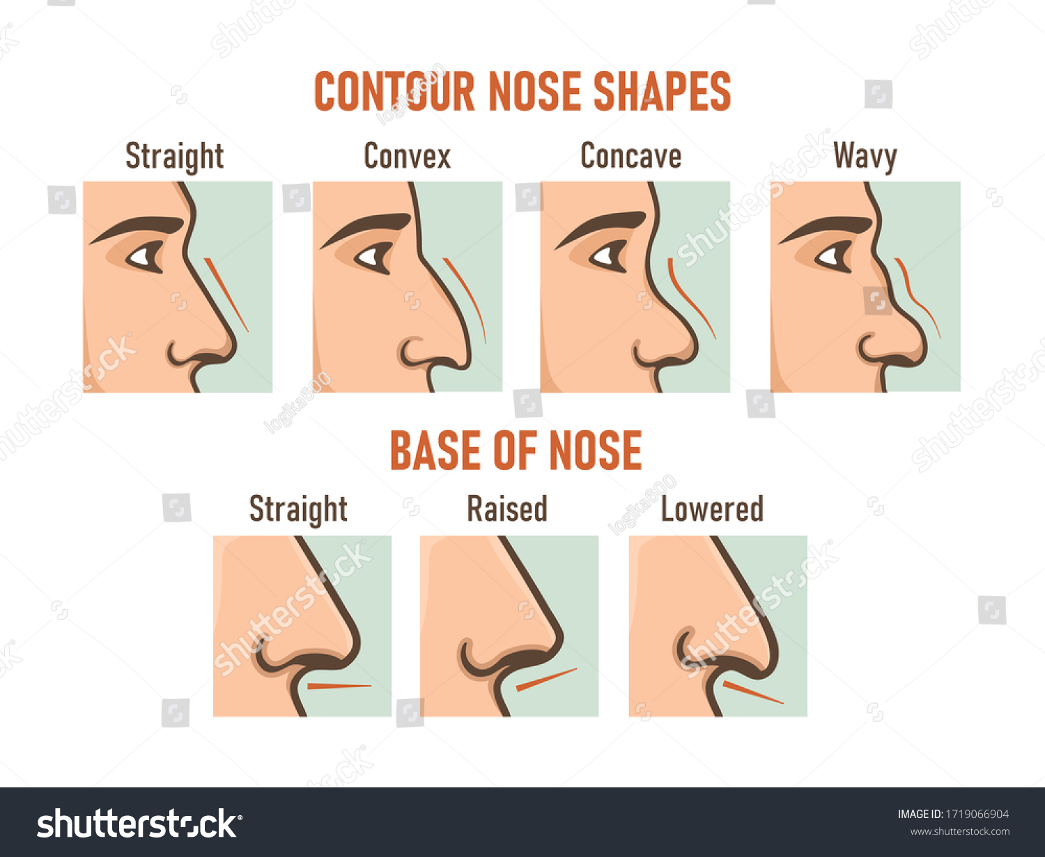 How To Contour Different Nose Shapes - Exactly How To Contour Every ...