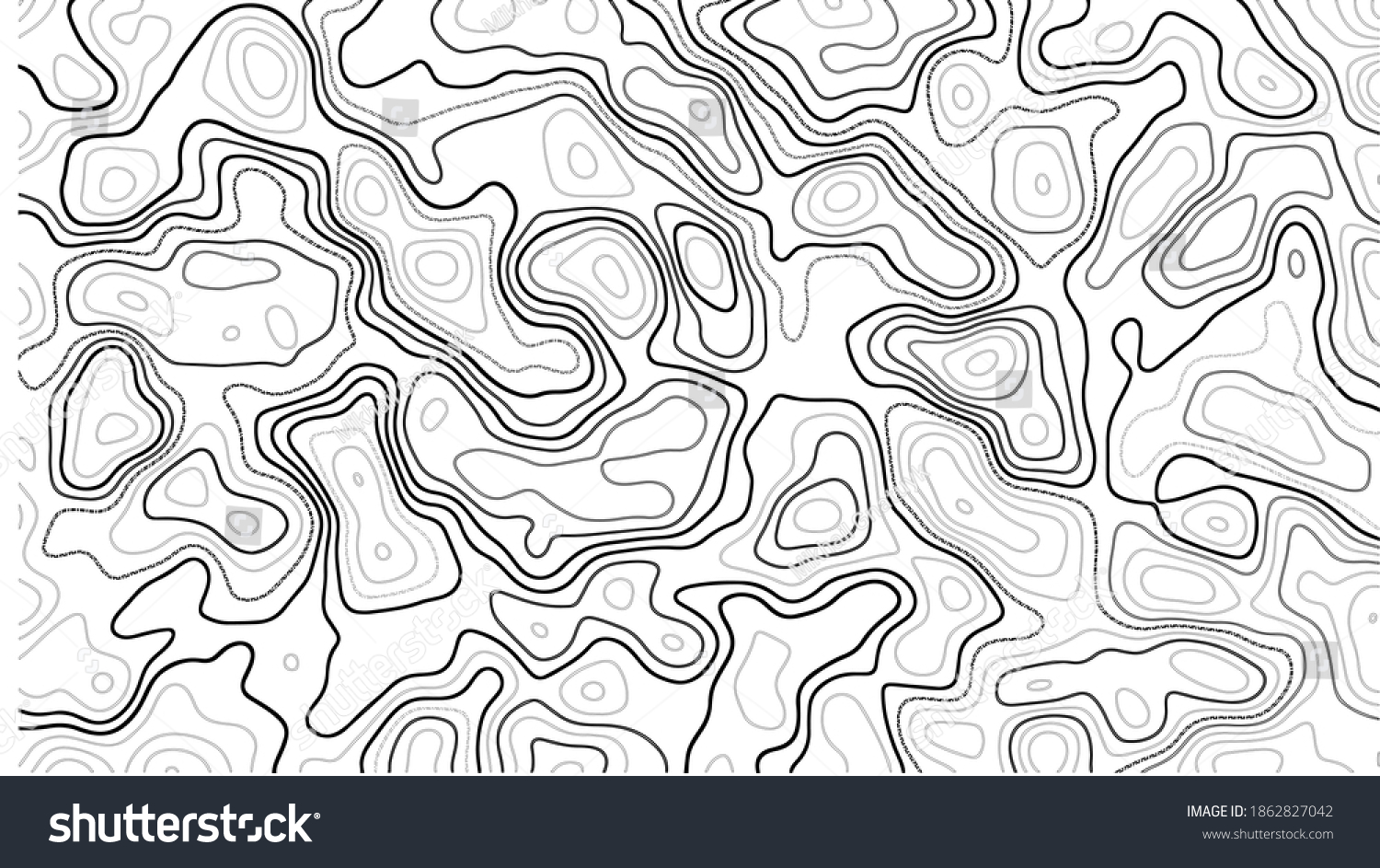 Contours Vector Topography Geographic Topography Vector Stock Vector ...