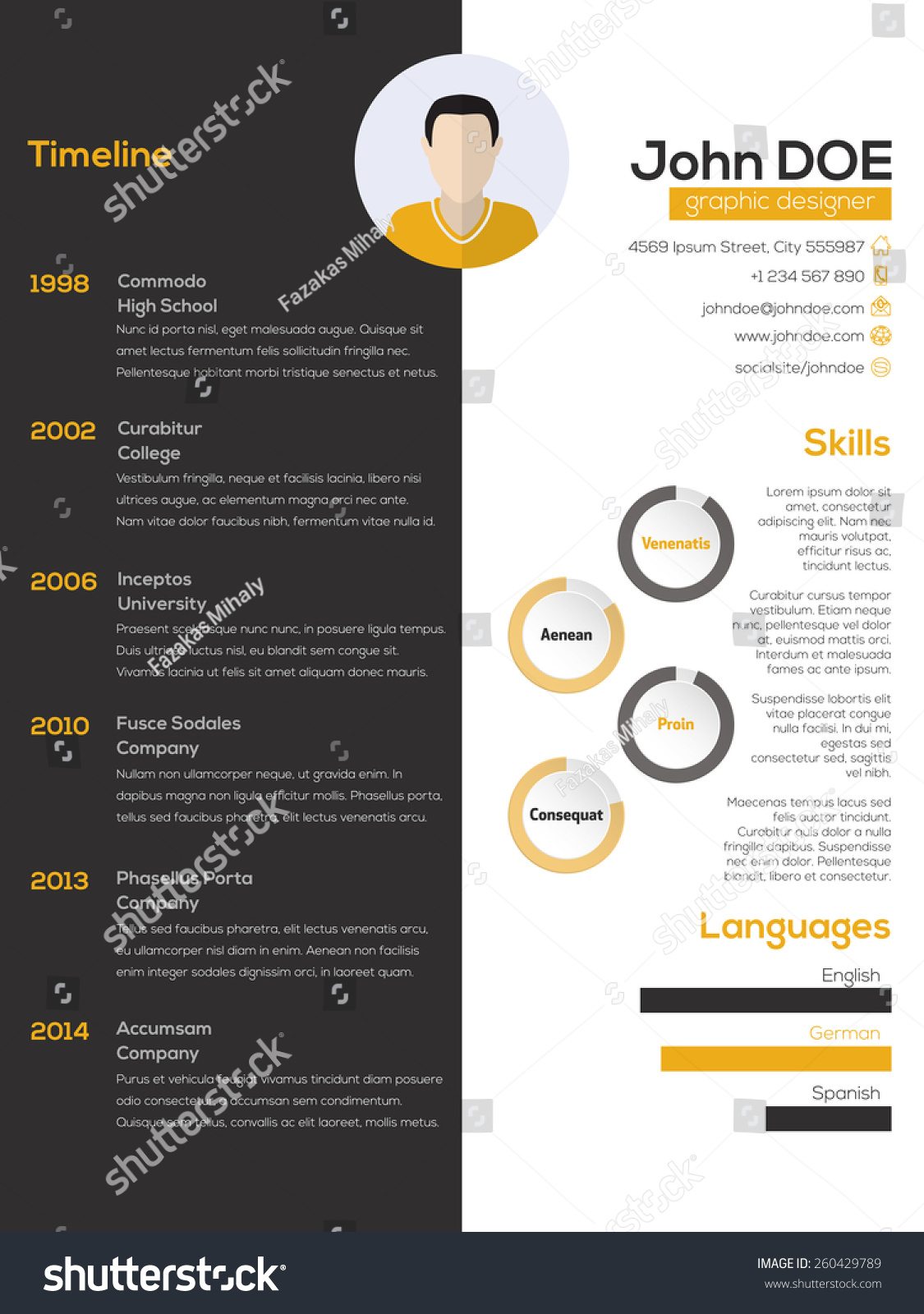 Contrast Resume Cv Curriculum Vitae Design Stock Vector Royalty Free