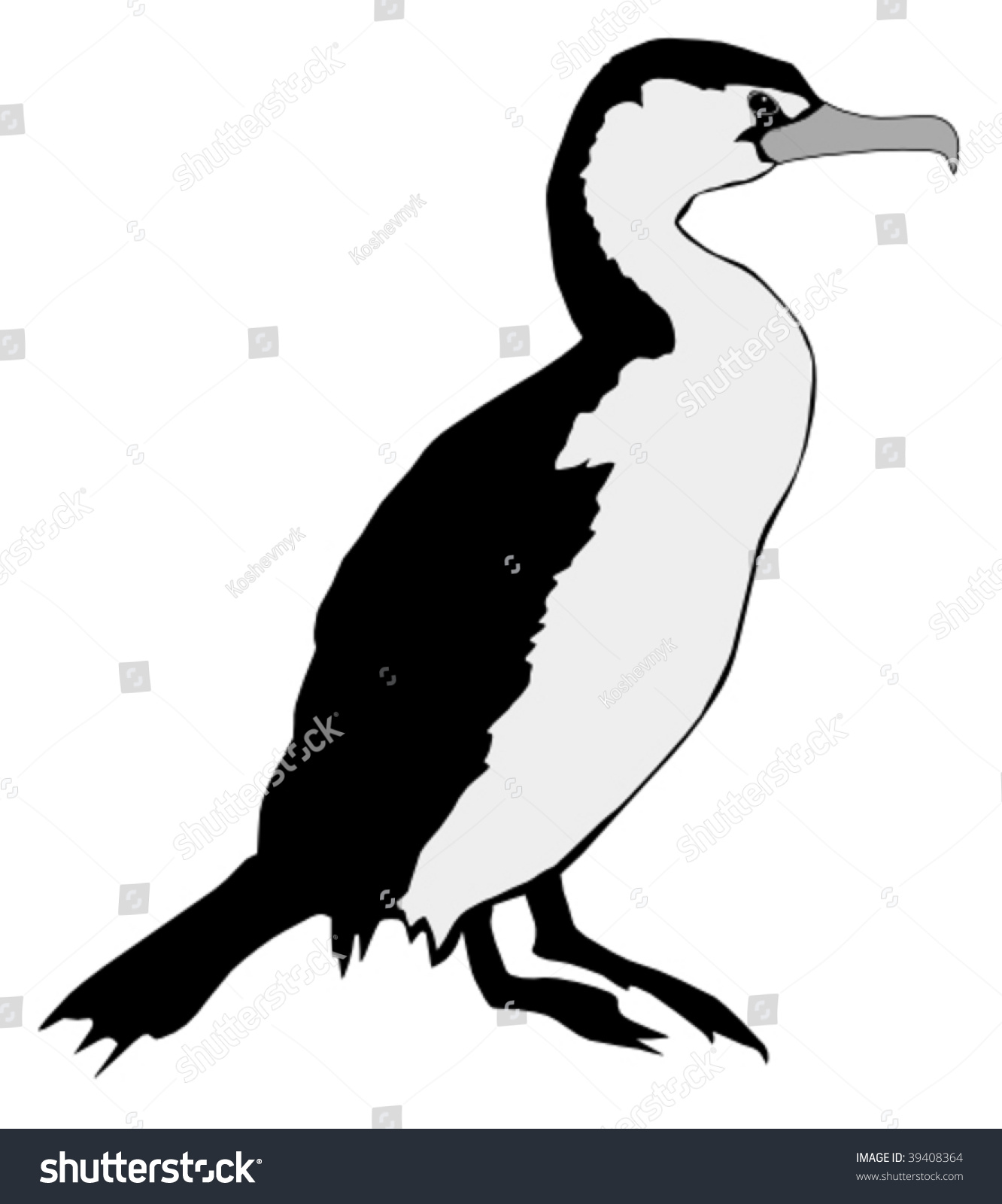 Cormorant Stock Vector Illustration 39408364 : Shutterstock