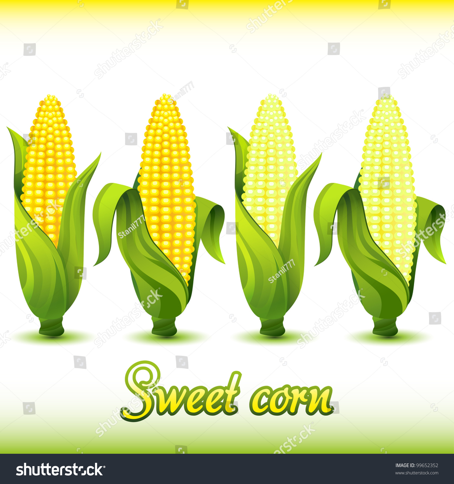 Download Corn Sweet Set Stock Vector Illustration 99652352 ...