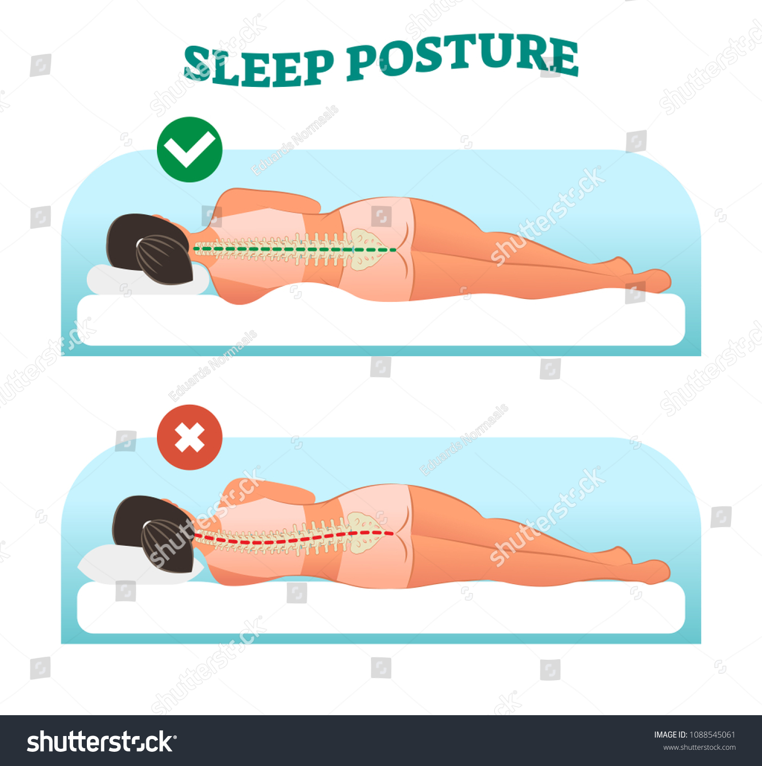 Correct Healthy Sleeping Posture Your Neck Stock Vector (Royalty Free ...