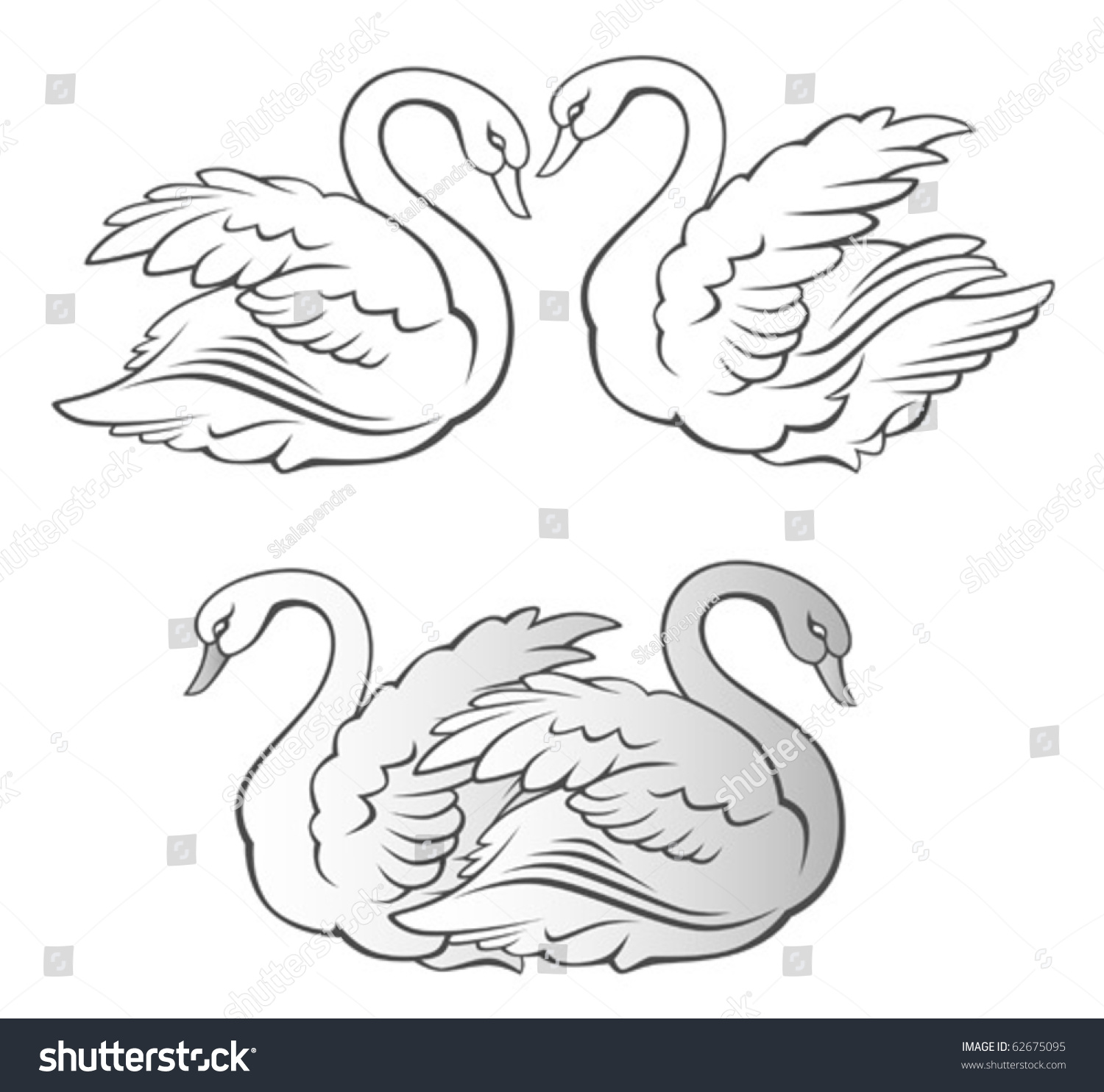 Couple Swan Stock Vector 62675095 - Shutterstock