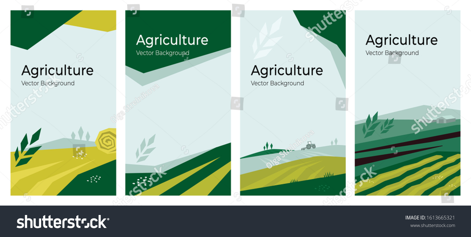 Cover Design Agriculture Farming Concept Vector Stock Vector (royalty 