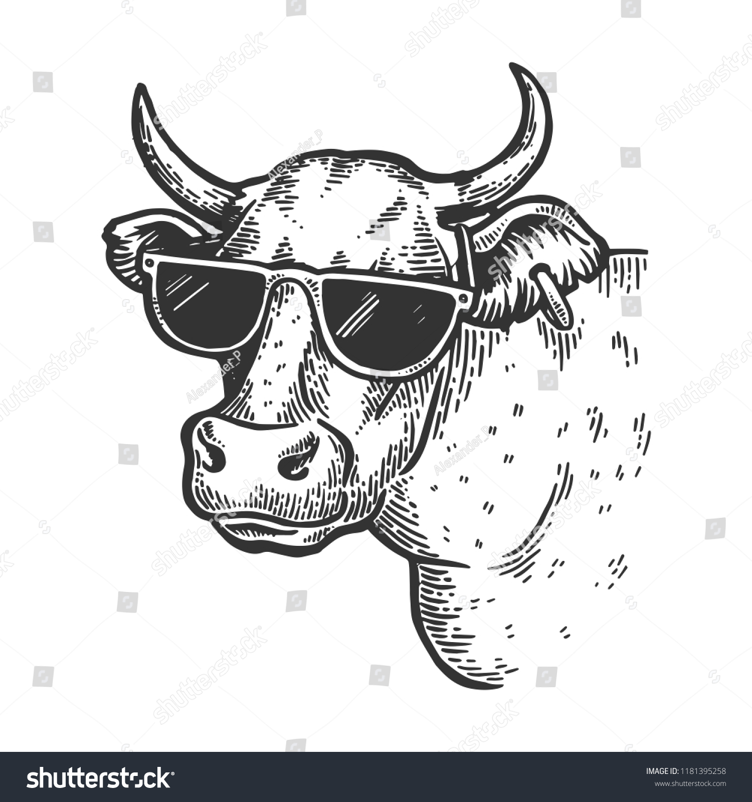 サングラスをかけた牛の動物の彫刻ベクターイラスト スクラッチボードのスタイルの模倣 白黒の手描きの画像 のベクター画像素材 ロイヤリティフリー