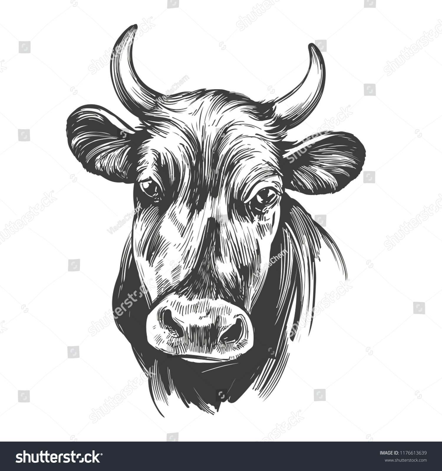 Cow Domestic Animal Farm Hand Drawn Stock Vector (Royalty Free) 1176613639