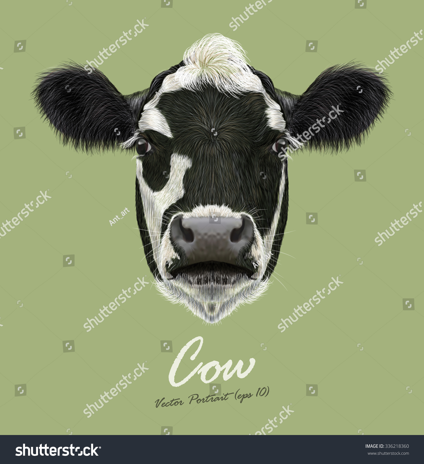 ウシ畑の動物の顔 ベクター画像のかわいい牛の頭のポートレート 緑の背景に白黒の斑点のある子牛のリアルな毛皮のポートレート のベクター画像素材 ロイヤリティフリー