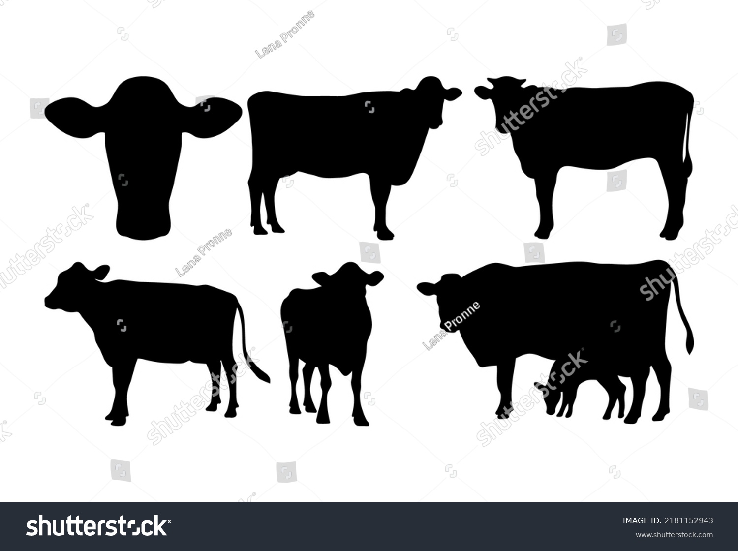 SVG of Cow illustration bundle isolated on white background svg