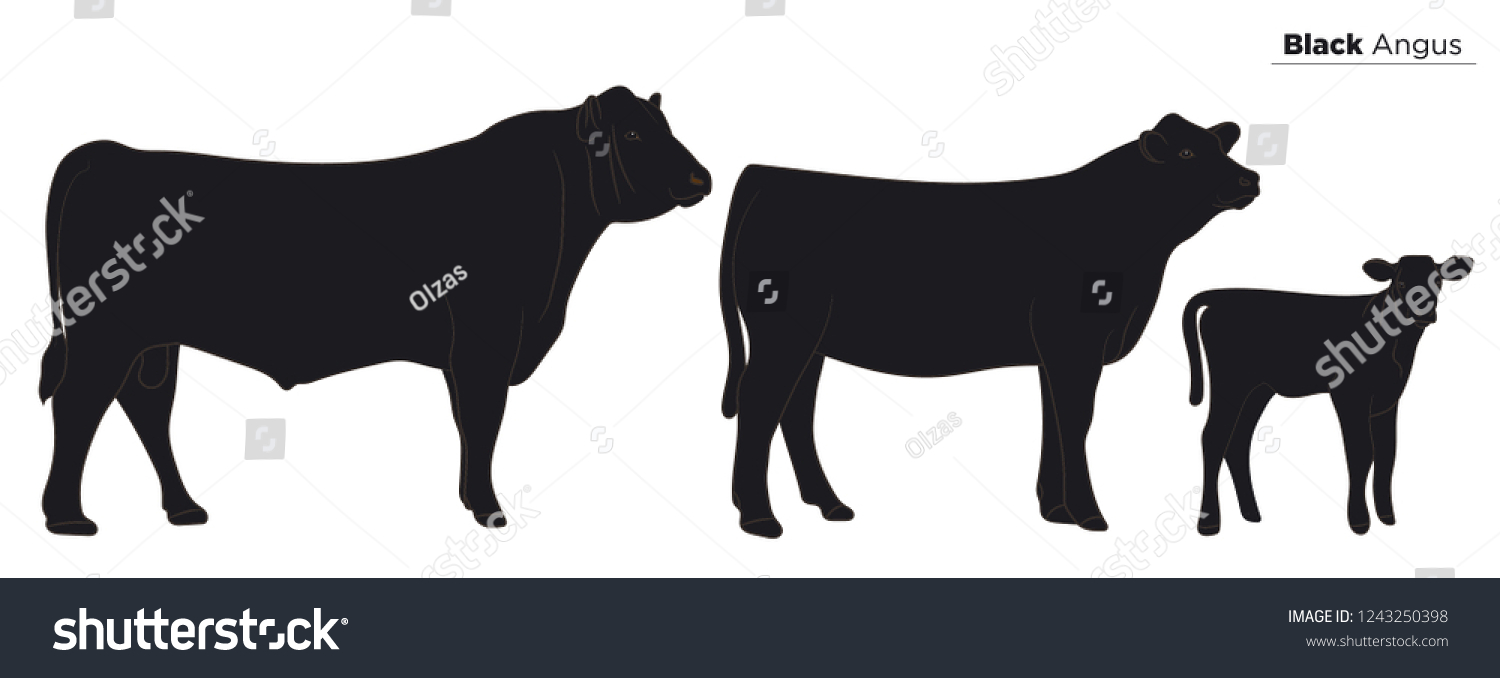 SVG of Cow isolated on white, hand drawn vector illustration. svg
