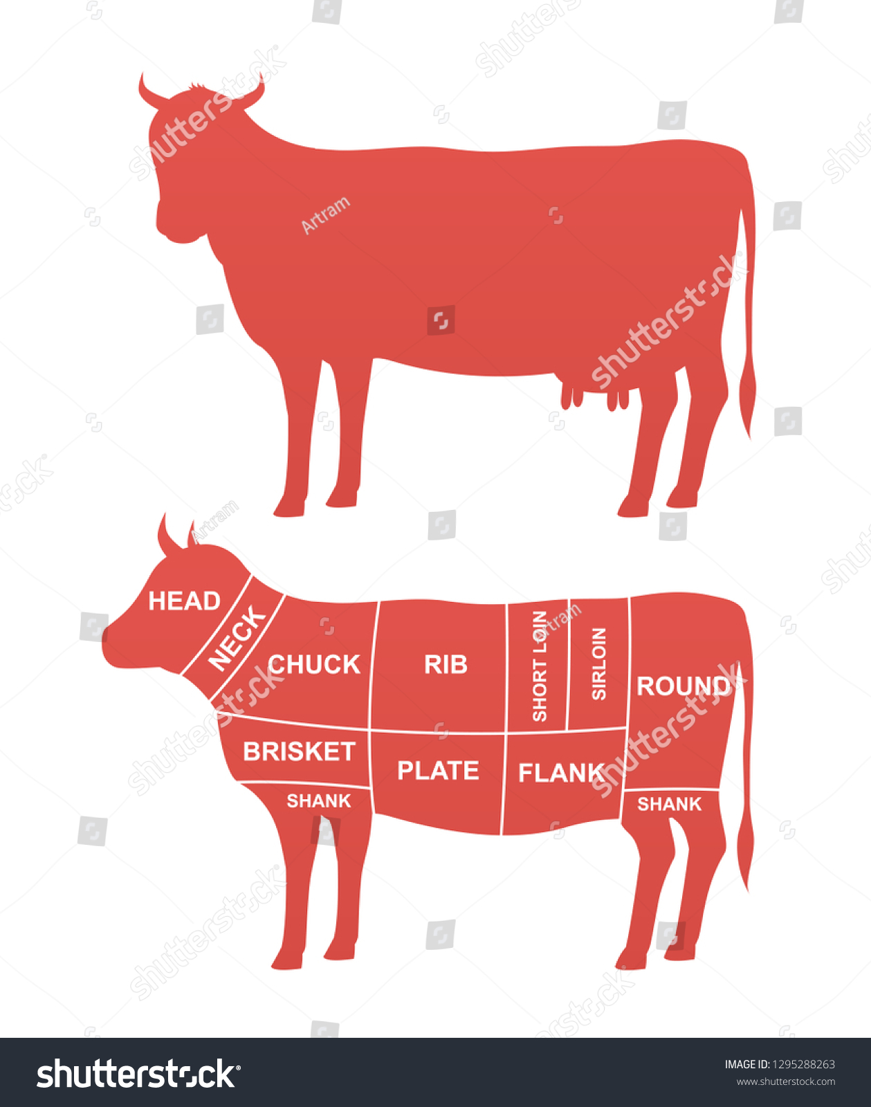 Cow Scheme Cuts Beef Vector Illustration Stock Vector (Royalty Free ...