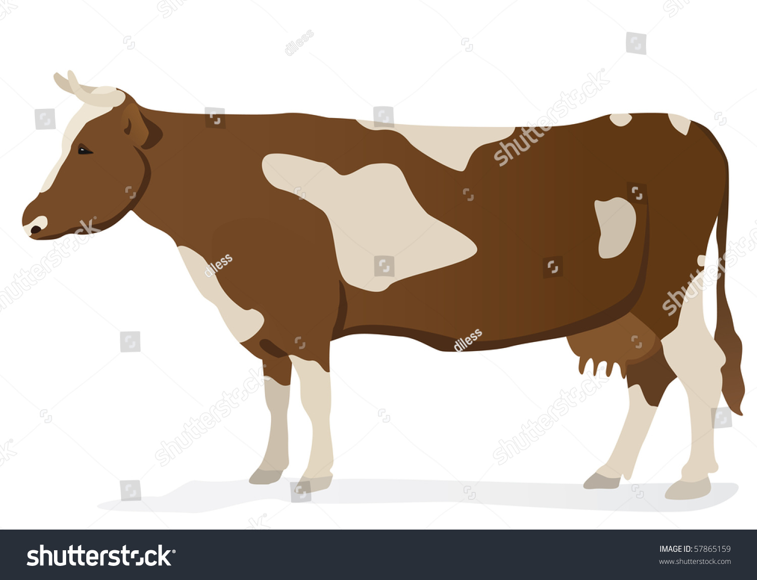 Cow Vector - 57865159 : Shutterstock