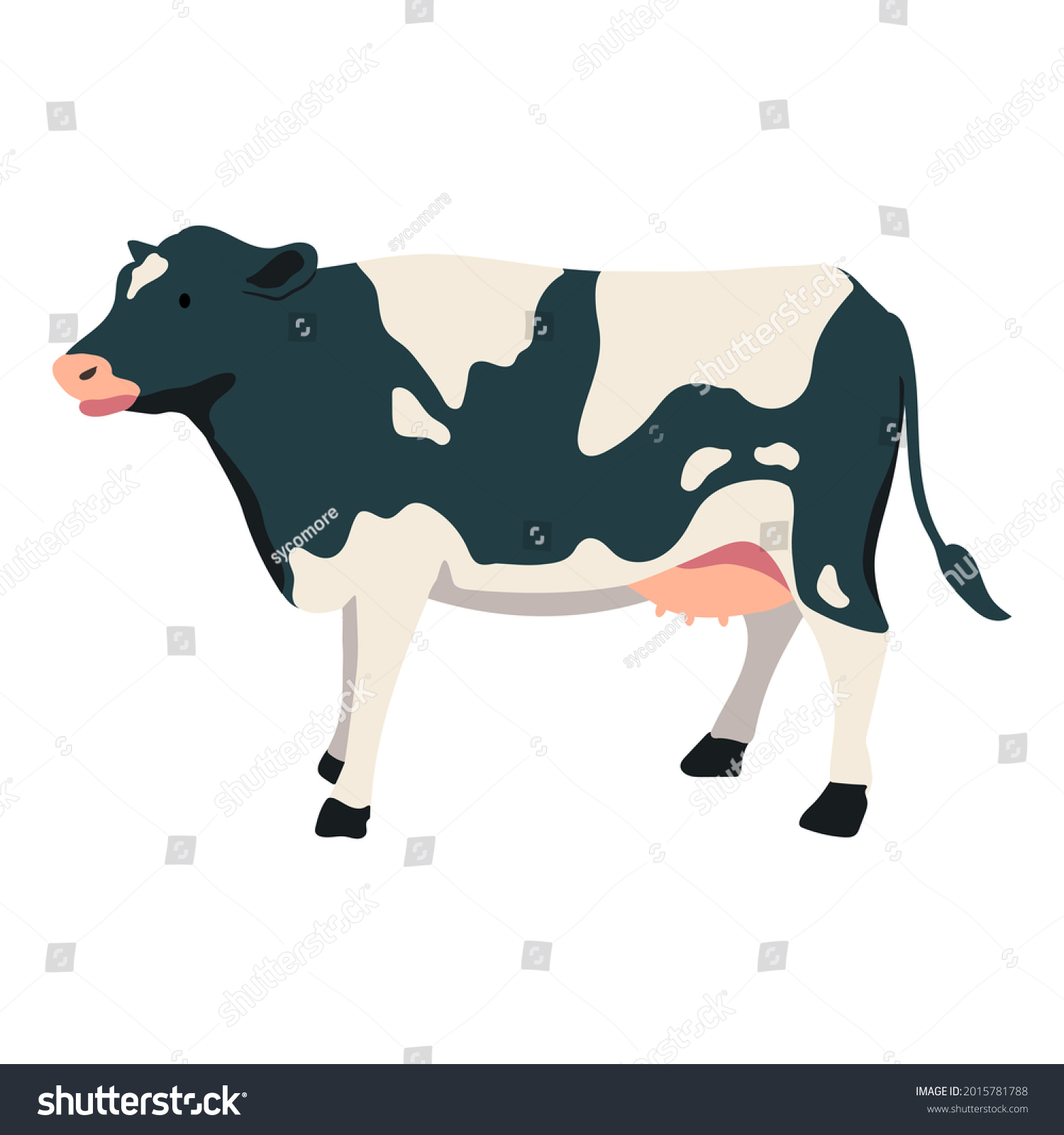 Cow Vector Illustration Flat Style Isolated Stock Vector (Royalty Free ...