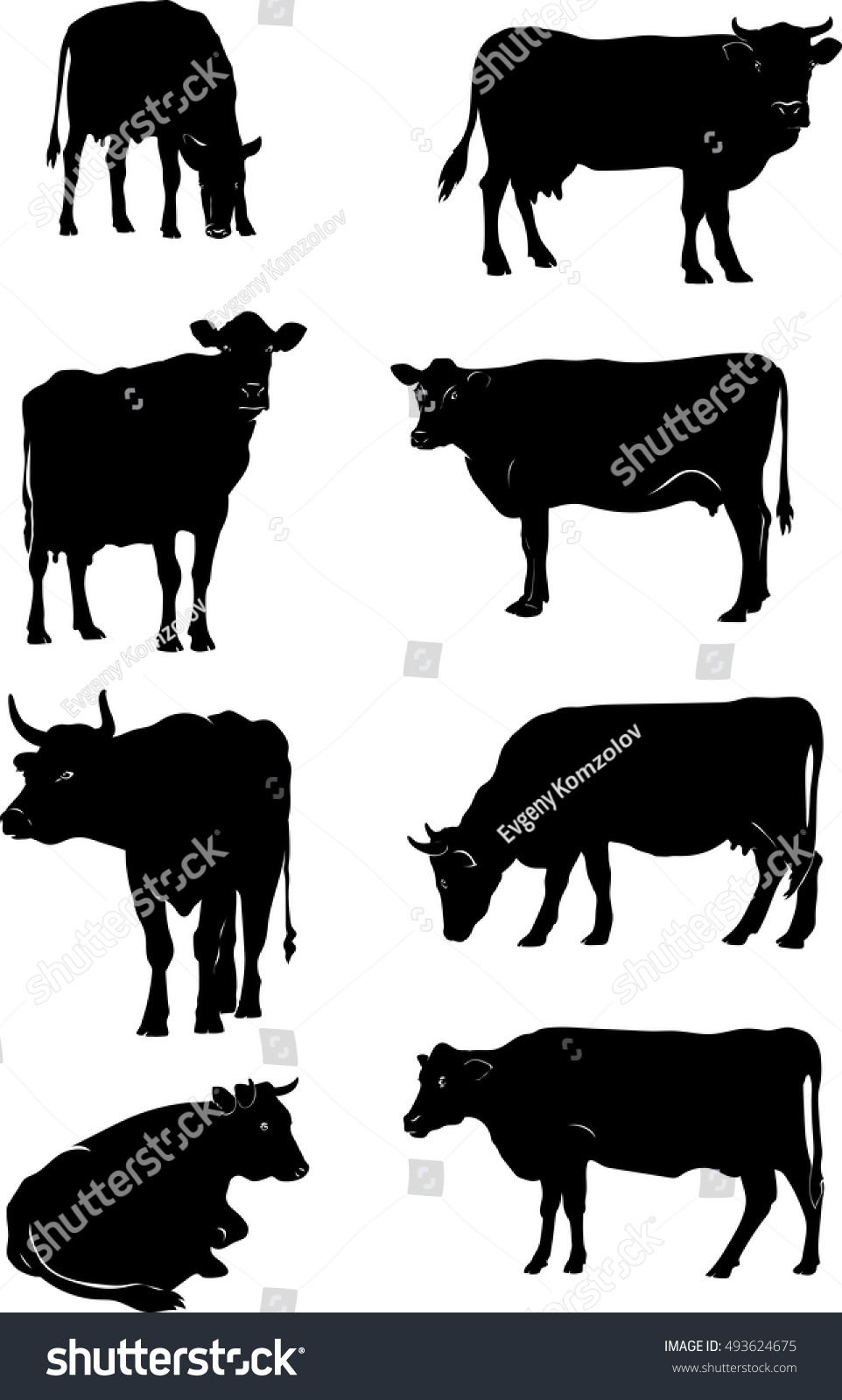 Cow, Vector, Silhouette, Animals, Design - 493624675 : Shutterstock