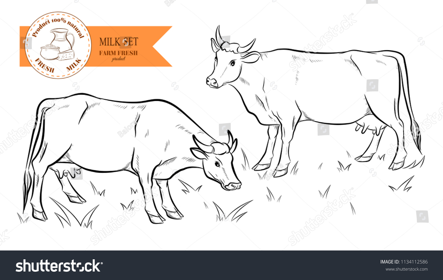 Cows Hand Drawn Sketch Cows Grazing Stock Vector (Royalty Free ...