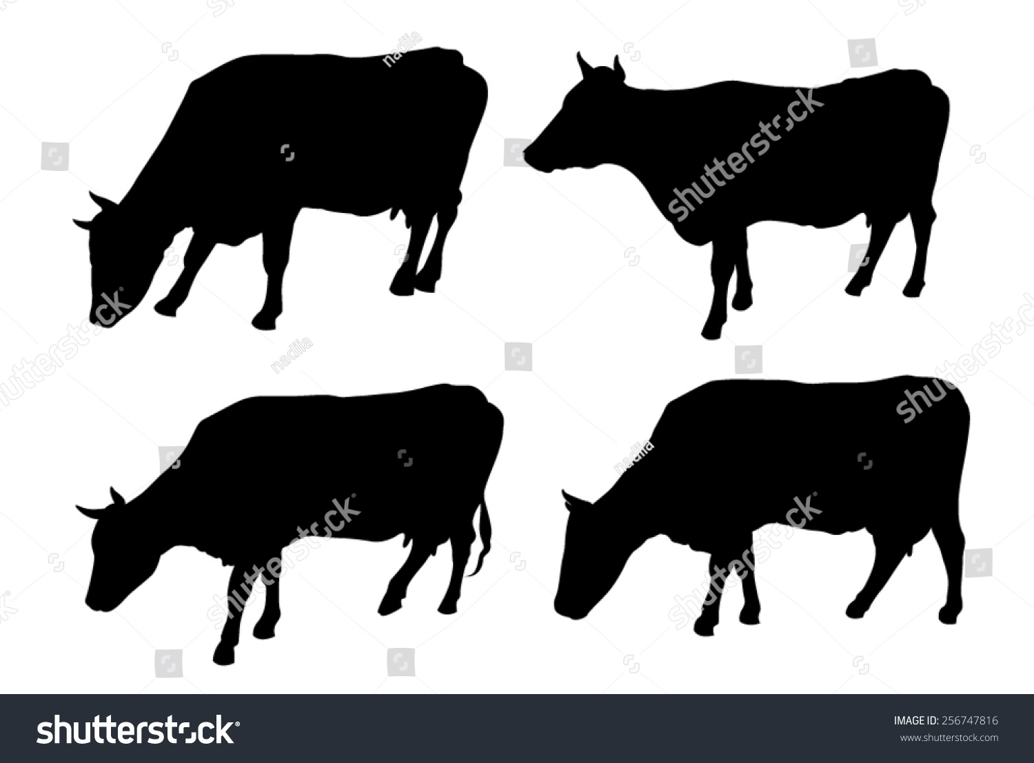 Cows On A White Background Stock Vector 256747816 : Shutterstock
