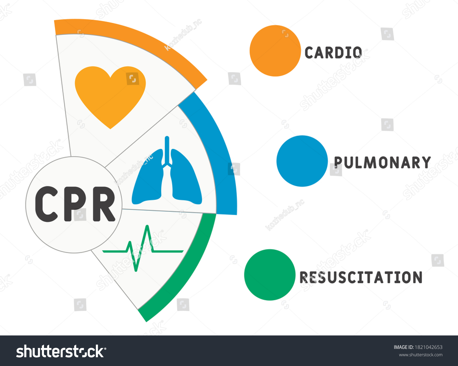 Cpr Cardiopulmonary Resuscitation Acronym Medical Concept Stock Vector ...