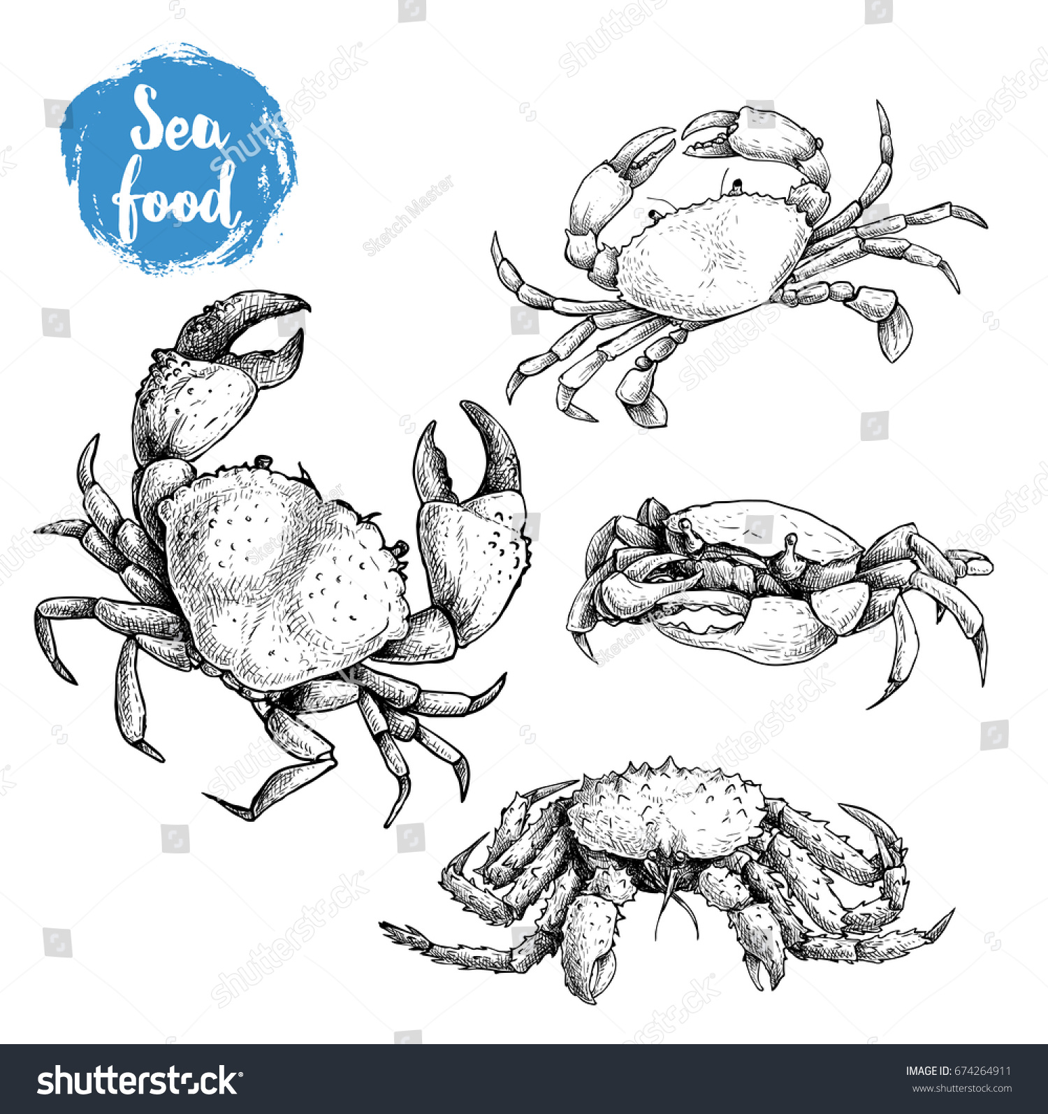 螃蟹手绘线稿素材图片-图行天下素材网