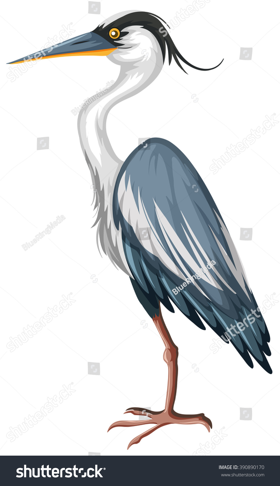 Crane bird clipart Stock Illustrations, Images & Vectors | Shutterstock