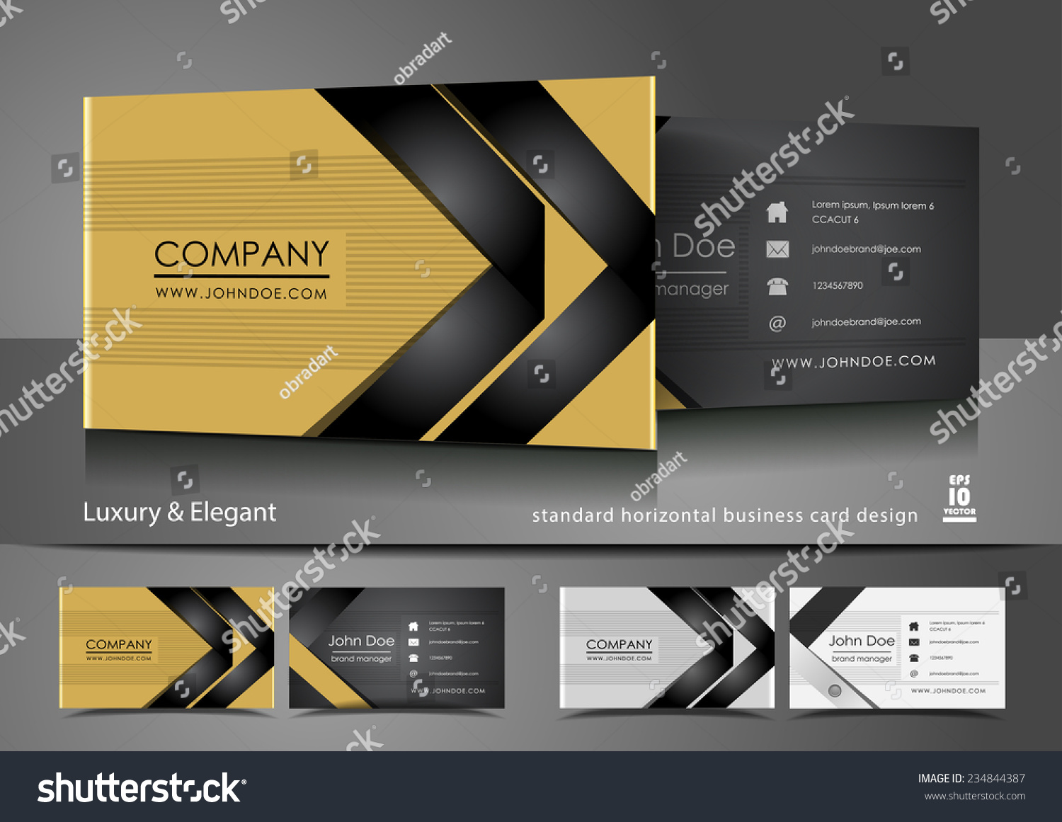 Creative Elegant Business Cards Stock Vector Royalty Free 234844387