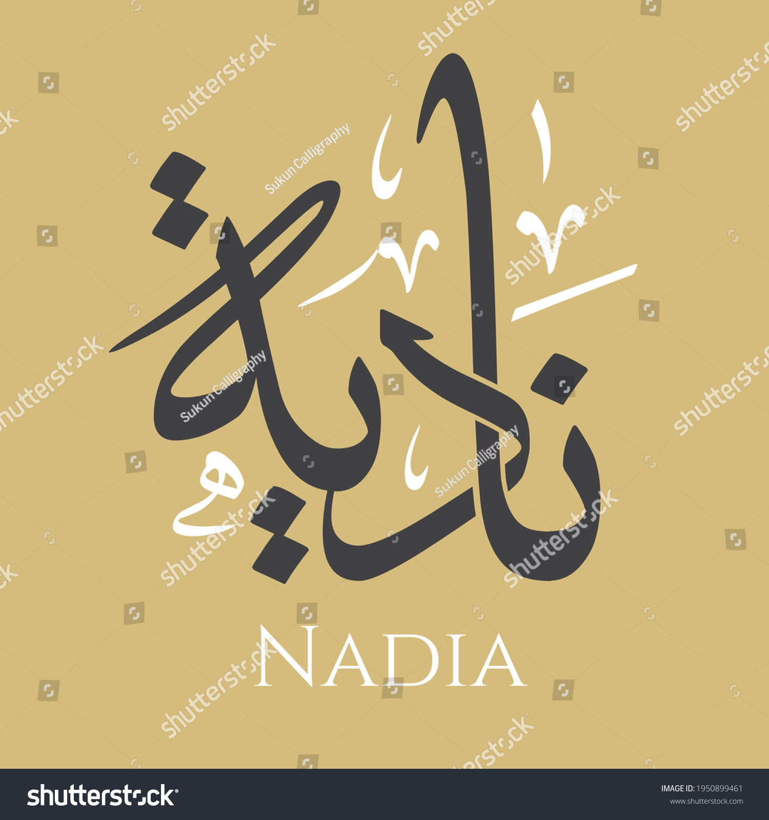 creative-arabic-calligraphy-nadia-arabic-name