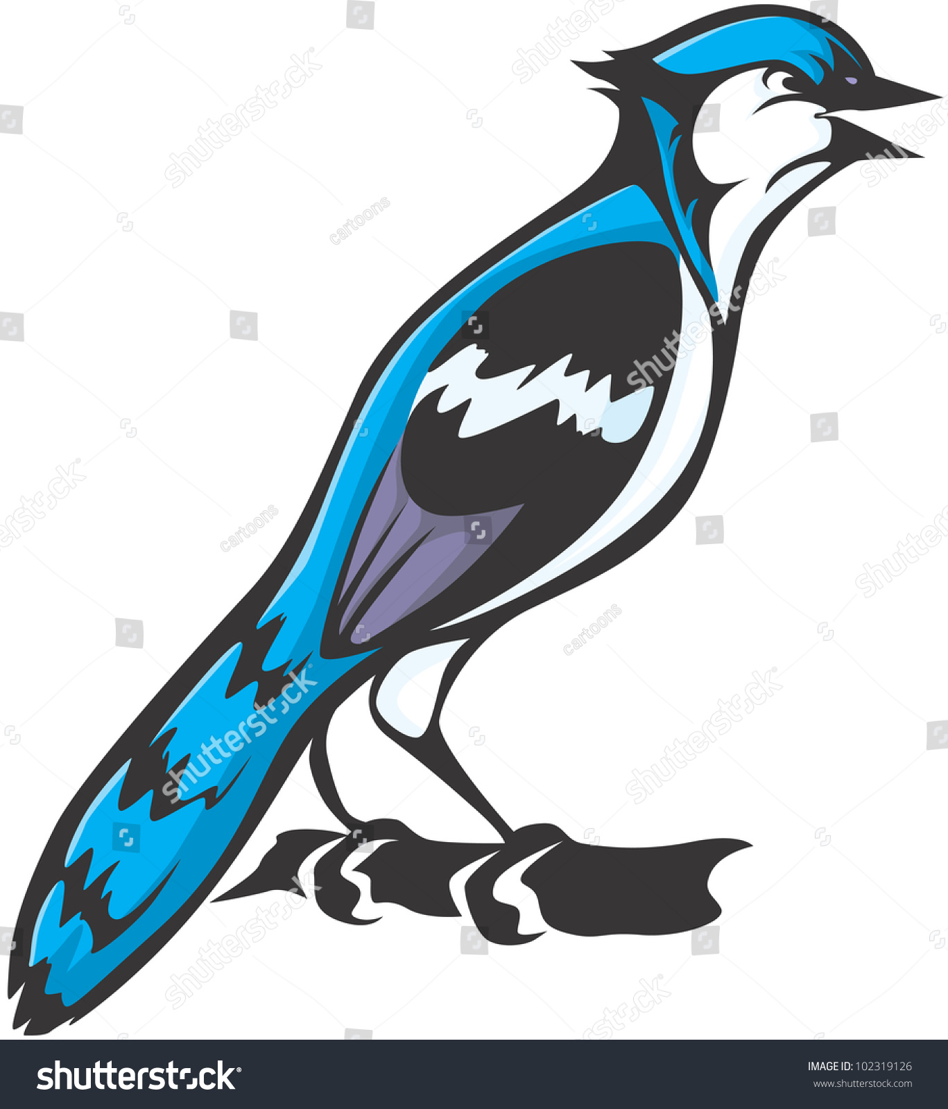 Creative Blue Jay Illustration Stock Vector 102319126 - Shutterstock