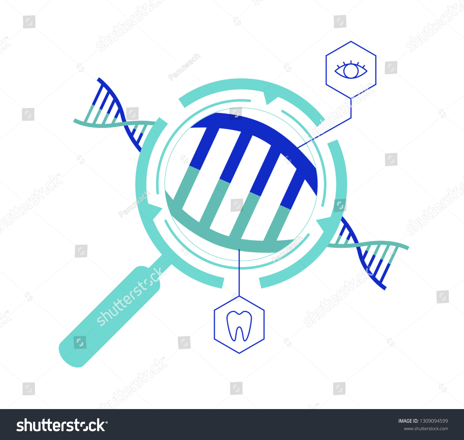 Crispr Cas9 Genetic Engineering Gene Editing Stock Vector Royalty Free 1309094599