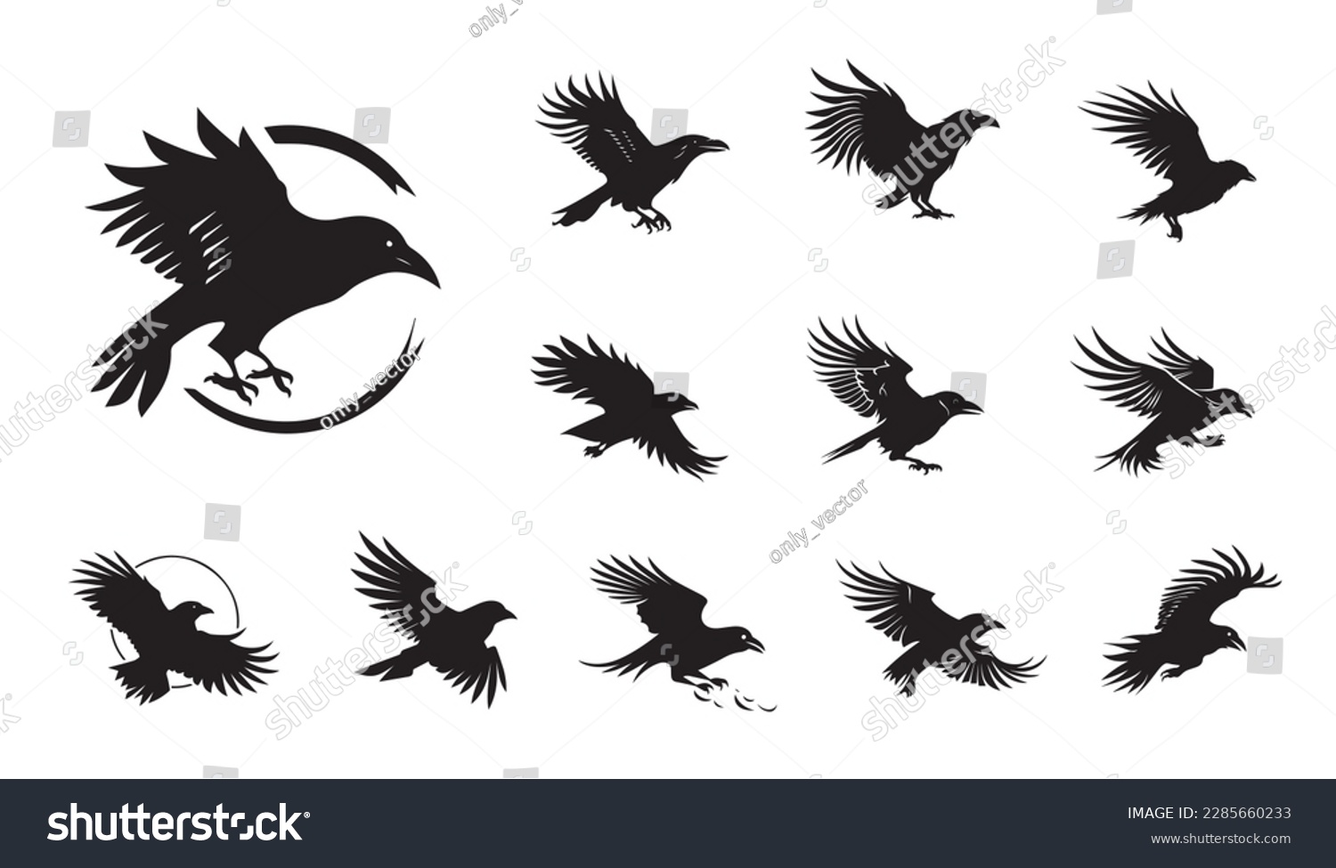 SVG of Crow, raven, bird vector illustration on a white background. Vector illustration silhouette svg. svg