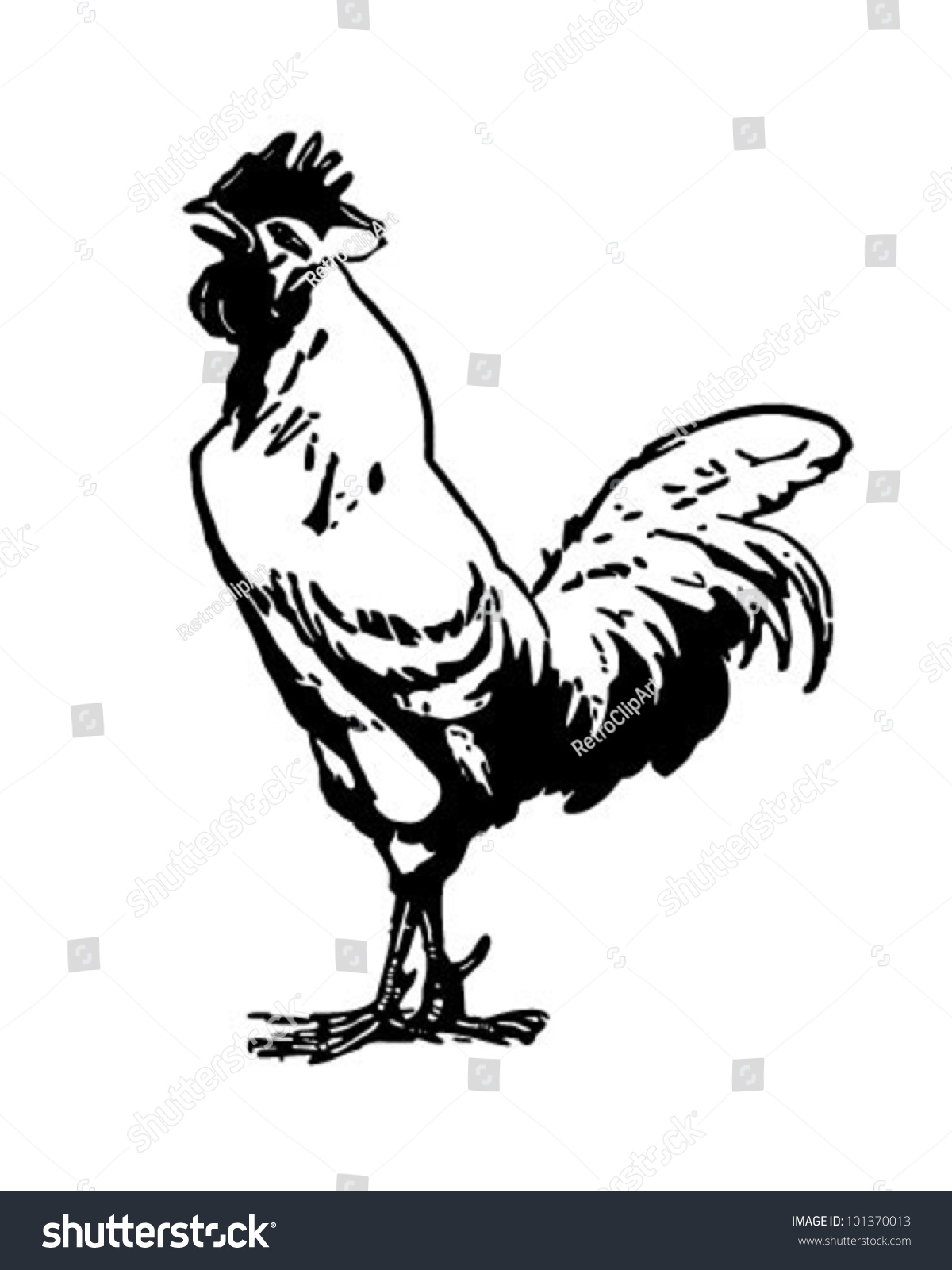 Crowing Rooster Retro Clipart Illustration Stock Vector 101370013