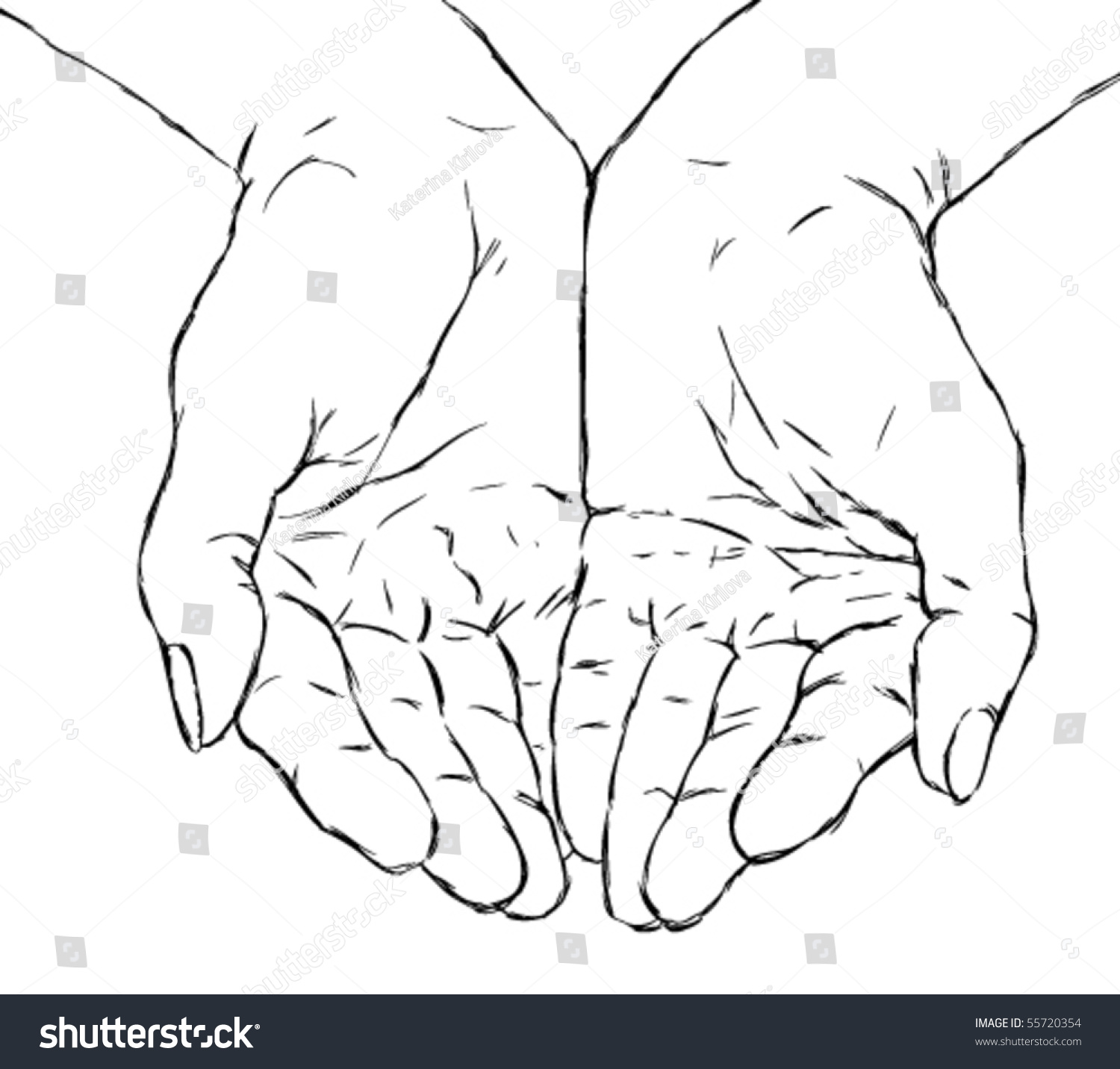 Cupped Hands Stock Vector 55720354 - Shutterstock