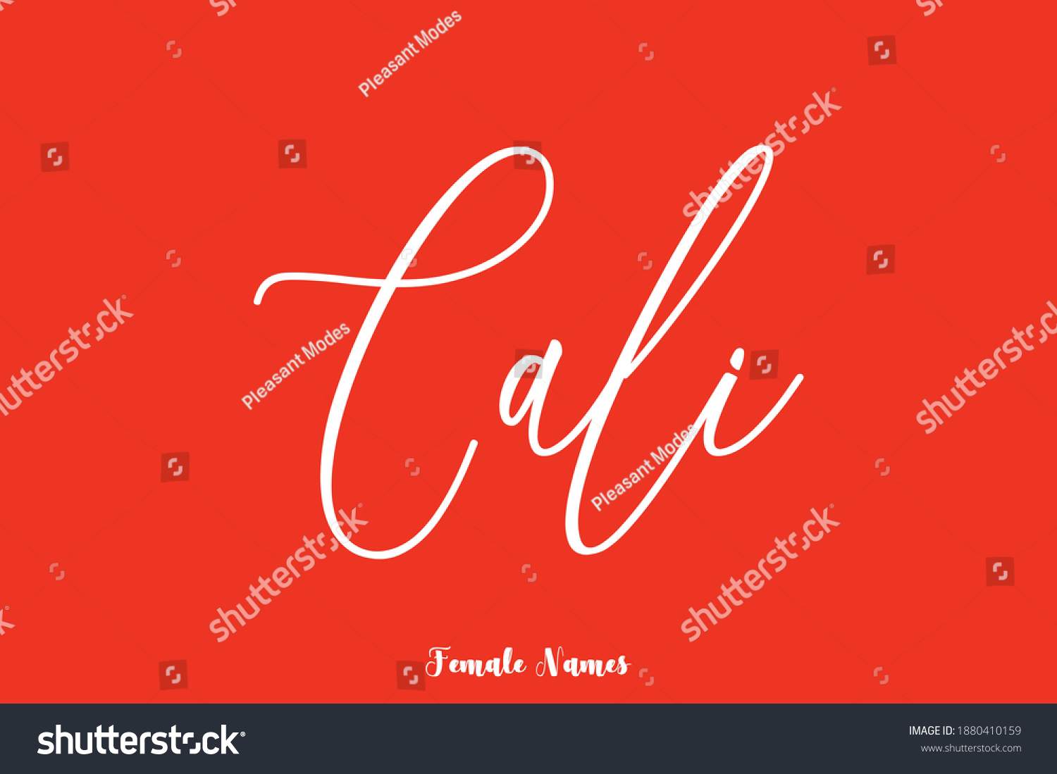 Cursive Handwritten Calligraphy Text Female Name Stock Vector (Royalty ...