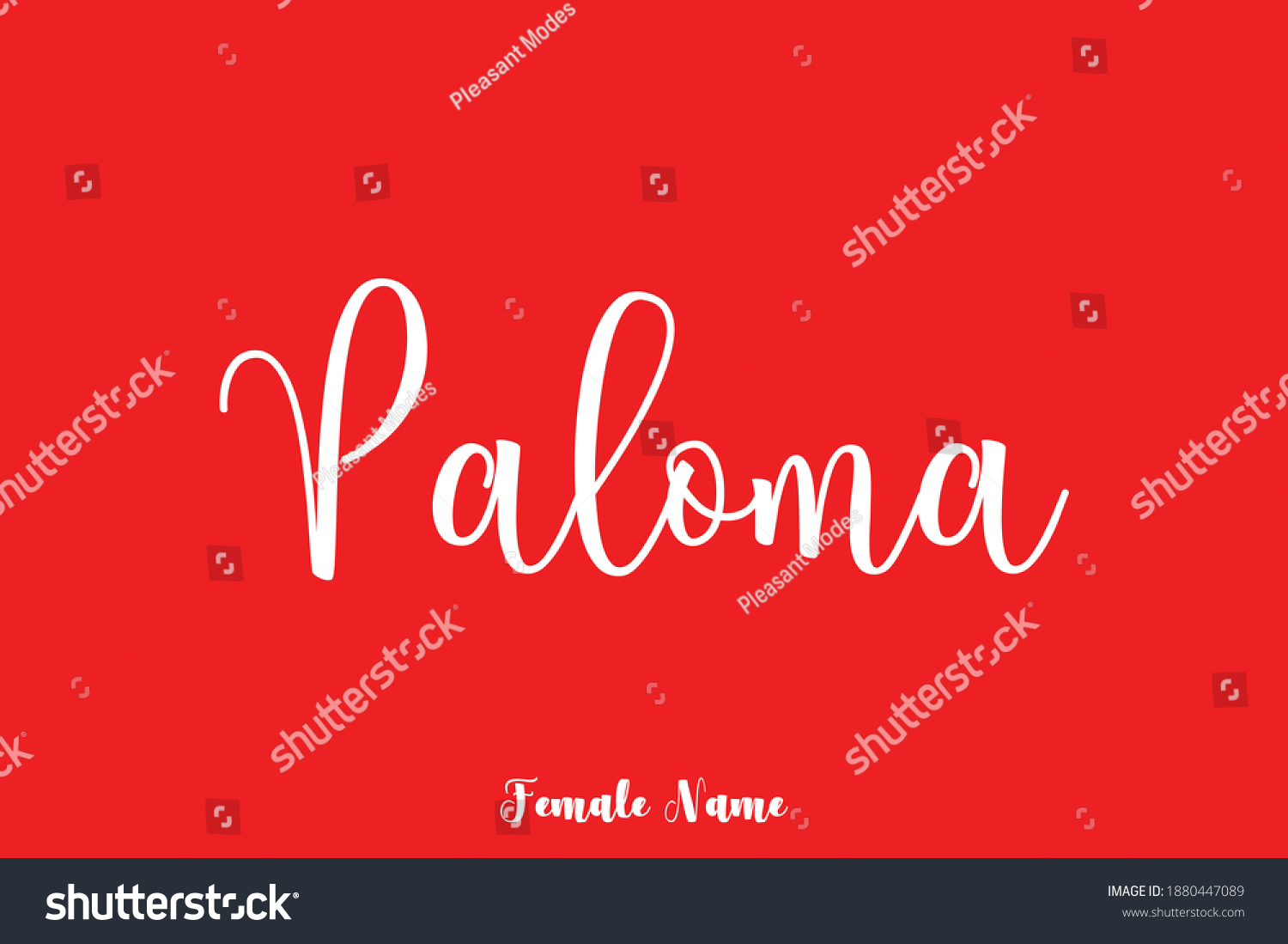 Cursive Handwritten Calligraphy Text Female Name Stock Vector Royalty Free 1880447089