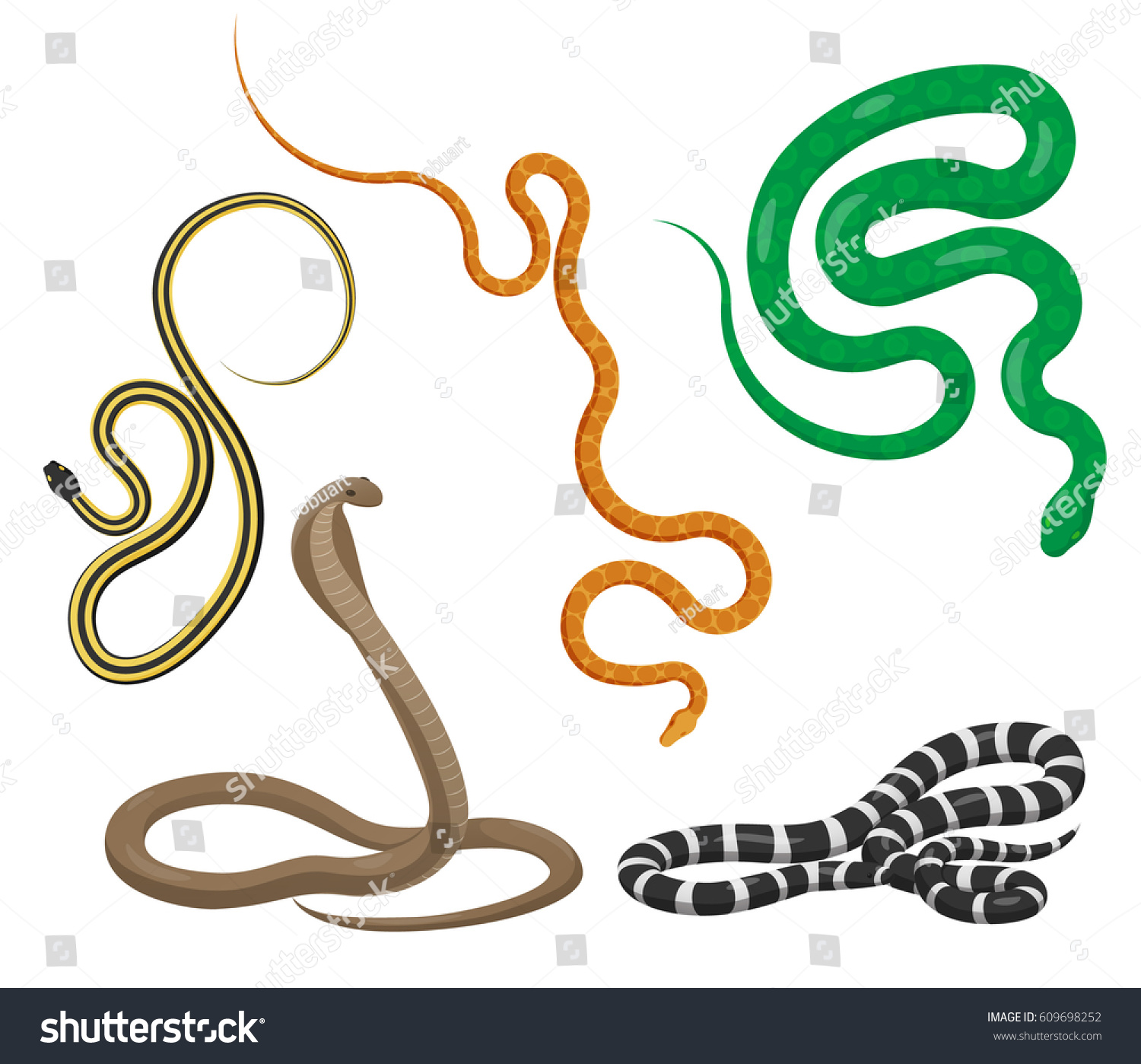 Curved Slither Pythons Venomous Snakes Icons 库存矢量图（免版税）609698252 ...
