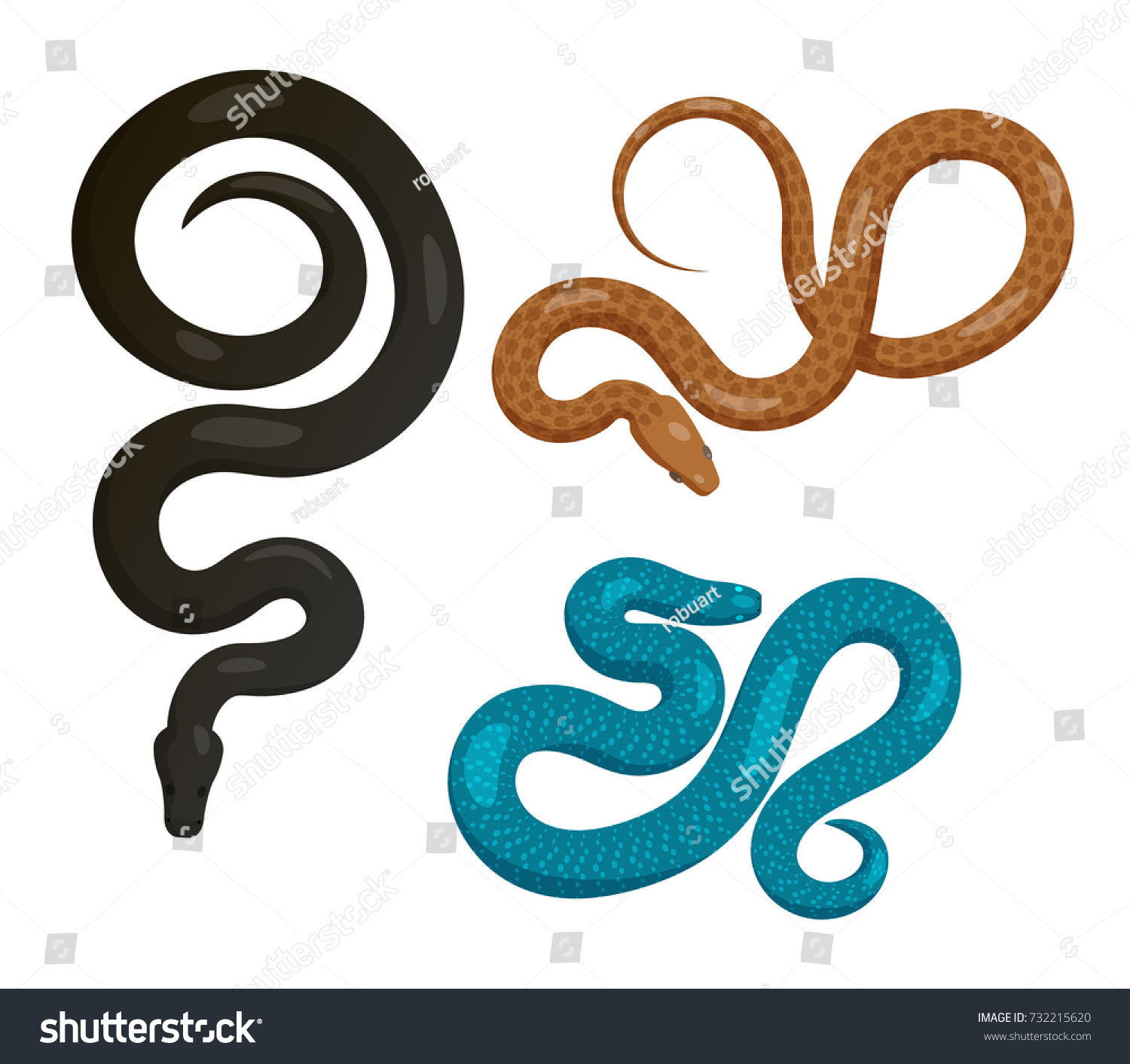 Curved Slither Pythons Venomous Snakes Top Stock Vector (Royalty Free ...