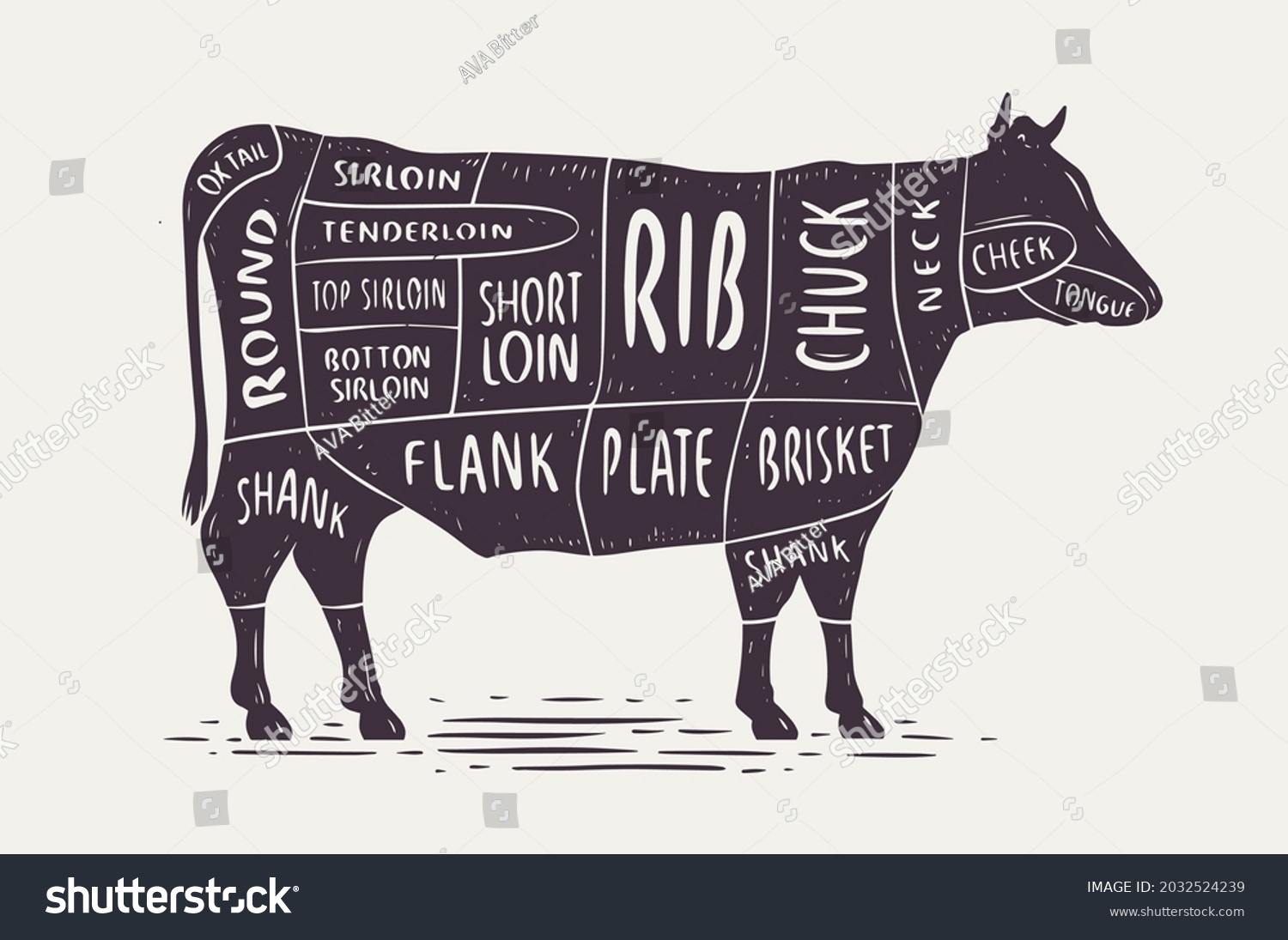 Cut Beef Butcher Diagram Scheme Cow Stock Vector (Royalty Free) 2032524239