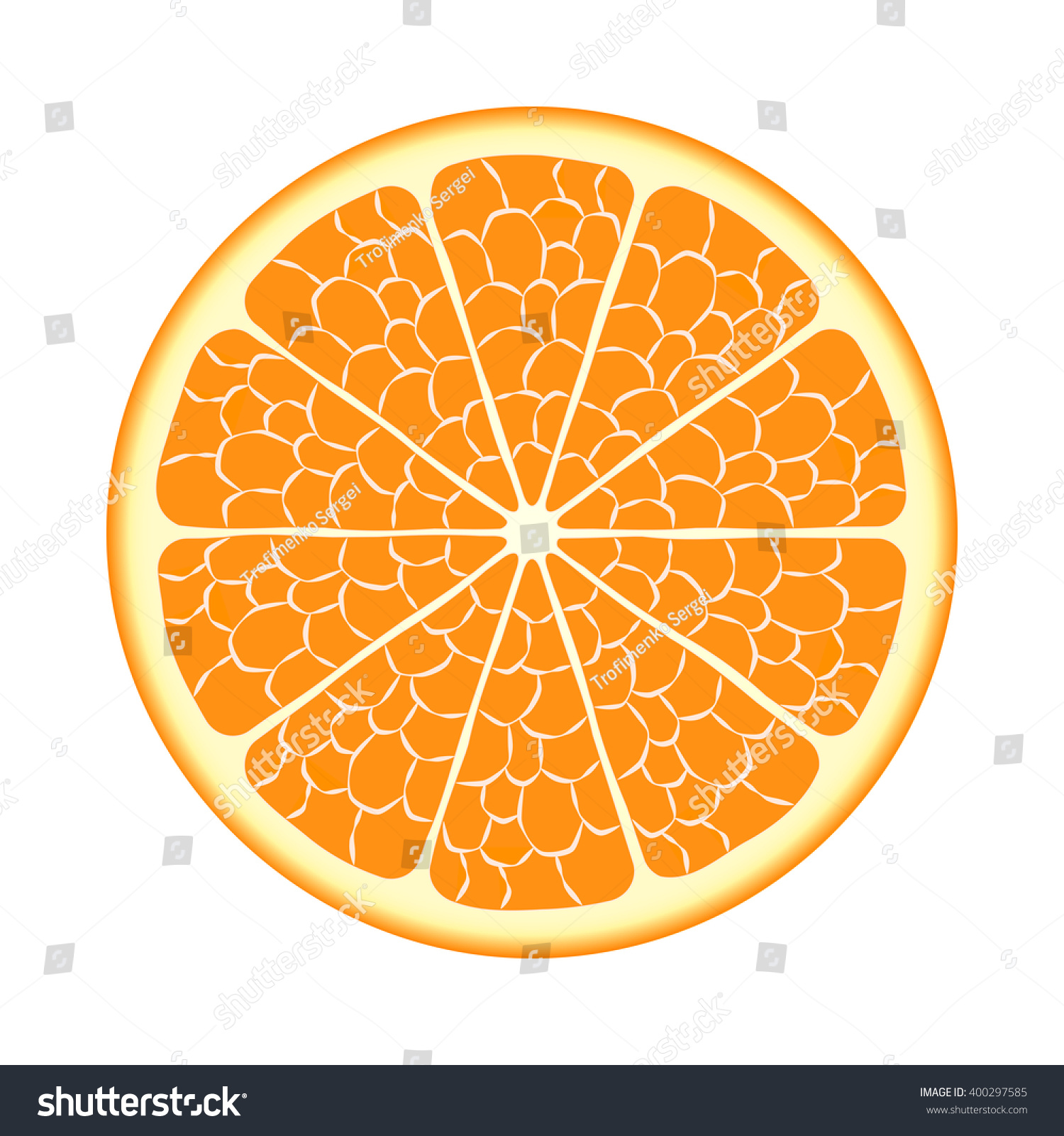 Cut Ripe Orange Fruit Vector Eps10 Stock Vector (Royalty Free ...