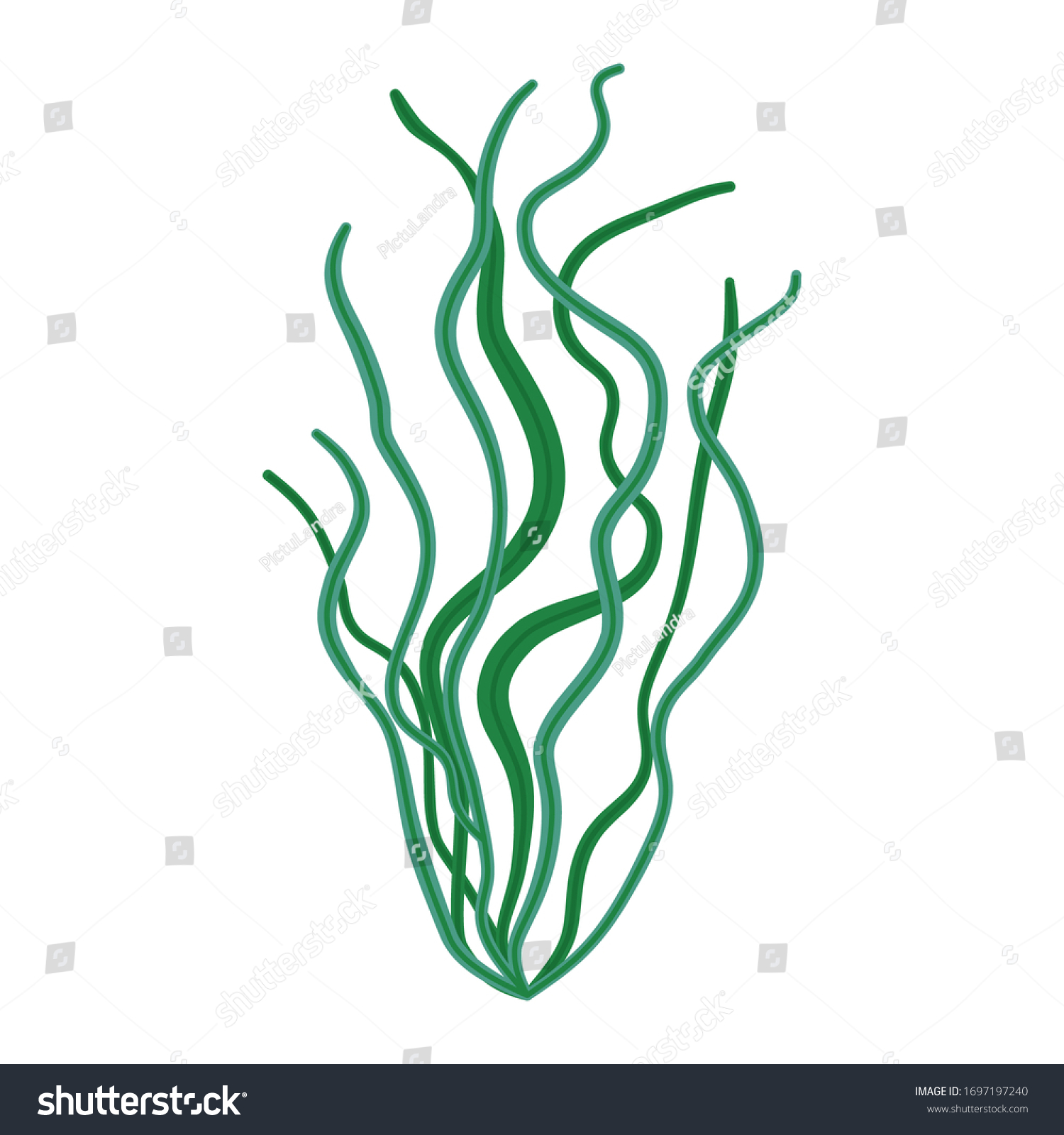 Cute Aquarium Plants Vallisneria Flat Style Stock Vector (Royalty Free ...