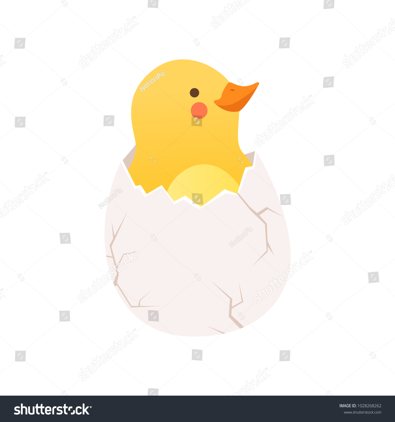 Cute Baby Chicken Hatching Funny Cartoon Stock Vector (Royalty Free ...