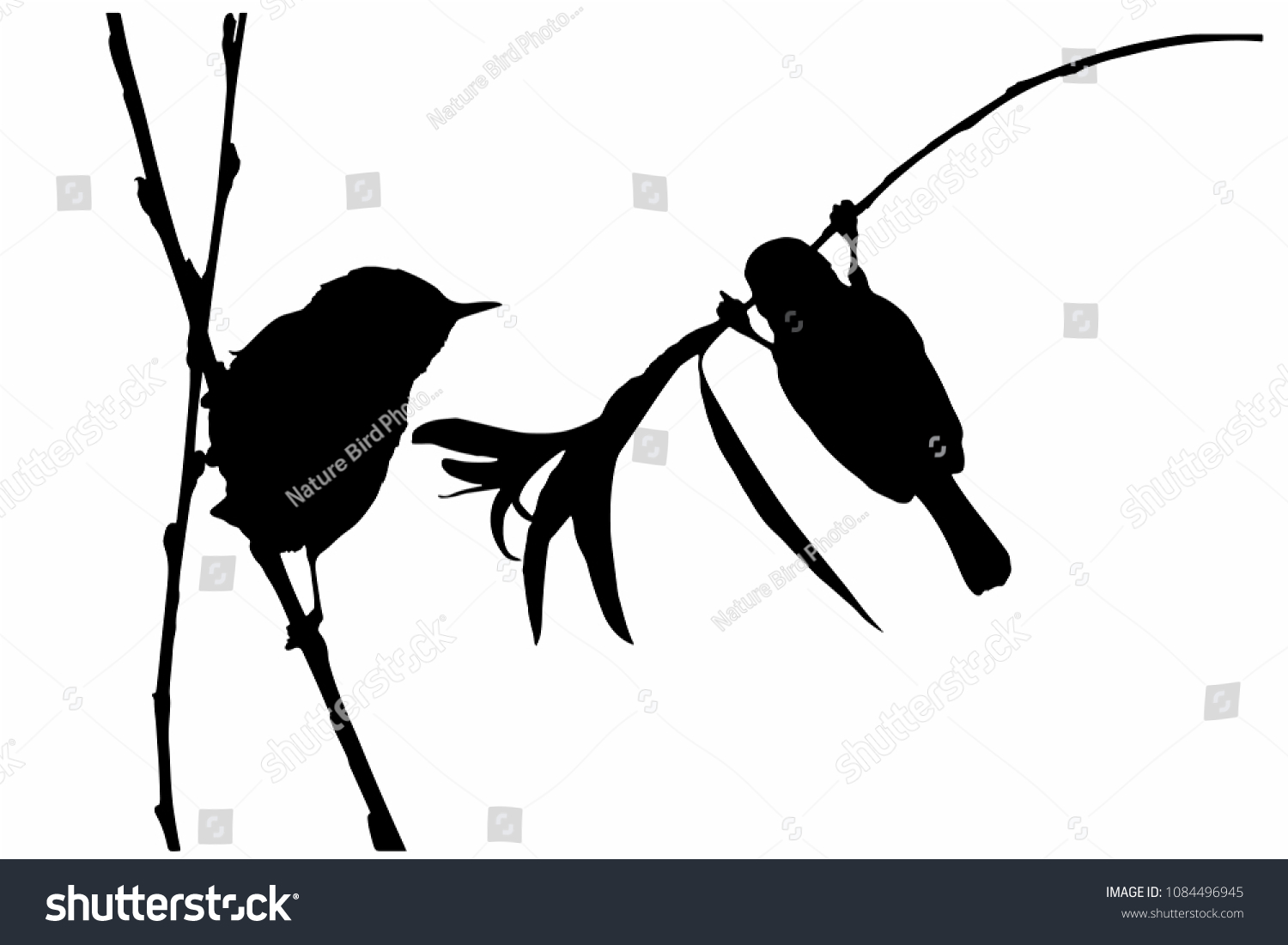 Cute Bird Branch Vector Images White Stock Vector (Royalty Free ...