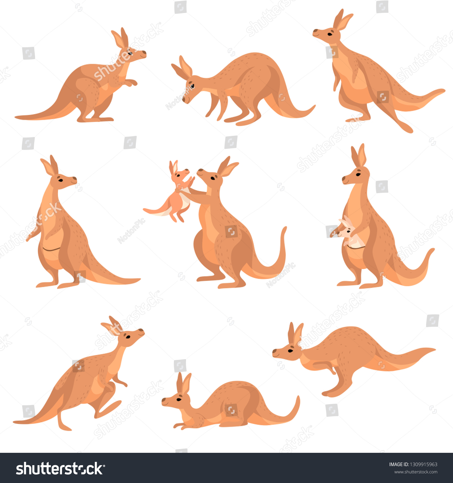 かわいい茶色のカンガルーセット ワラビー オーストラリアの動物のキャラクターのポーズが違うベクターイラスト のベクター画像素材 ロイヤリティフリー
