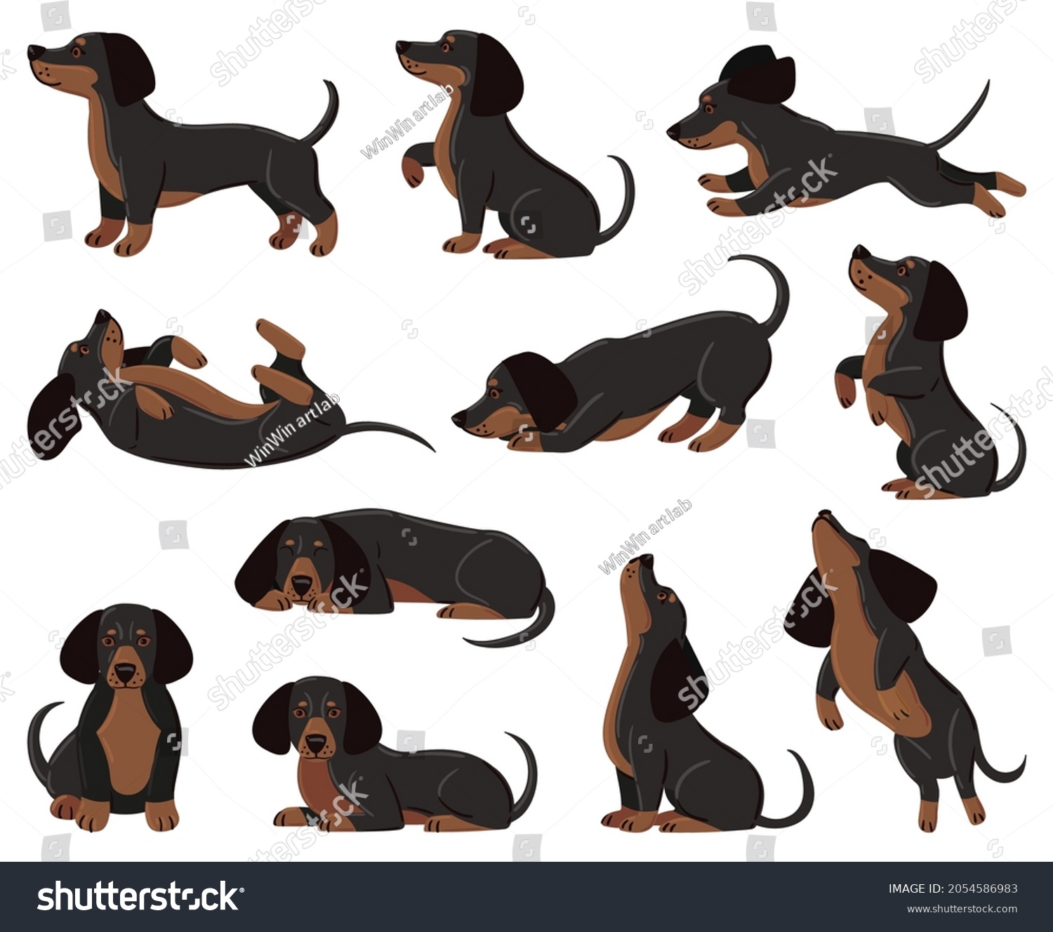 SVG of Cute cartoon dachshund dog breed in various poses. Dachshund adorable character sleeping, walking, playing vector illustration set. Domestic dachshund pet. Dogs cartoon, pet puppy domestic svg