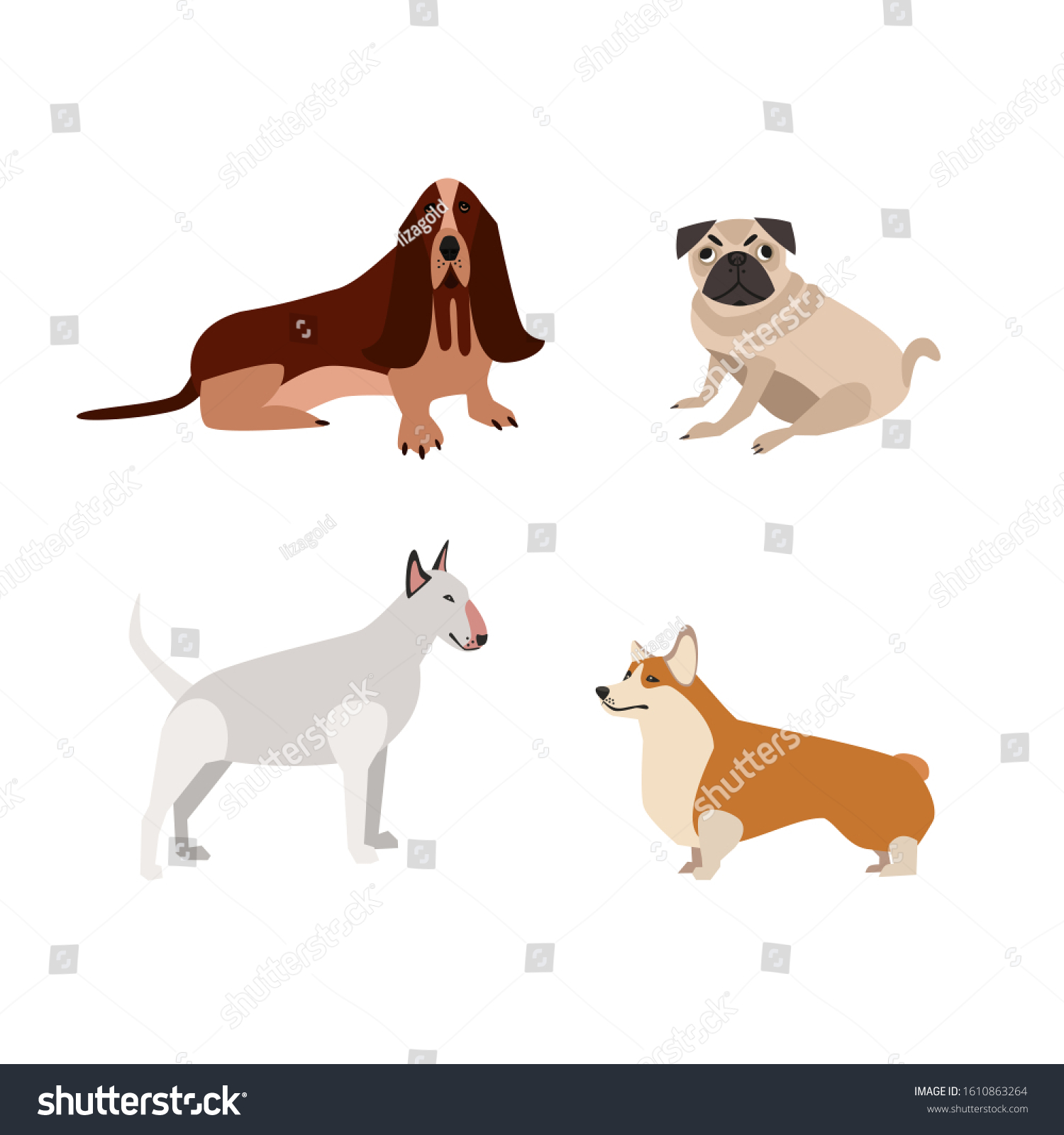 Cute Cartoon Dogs Breeds Flat Vector Stock Vector (Royalty Free ...