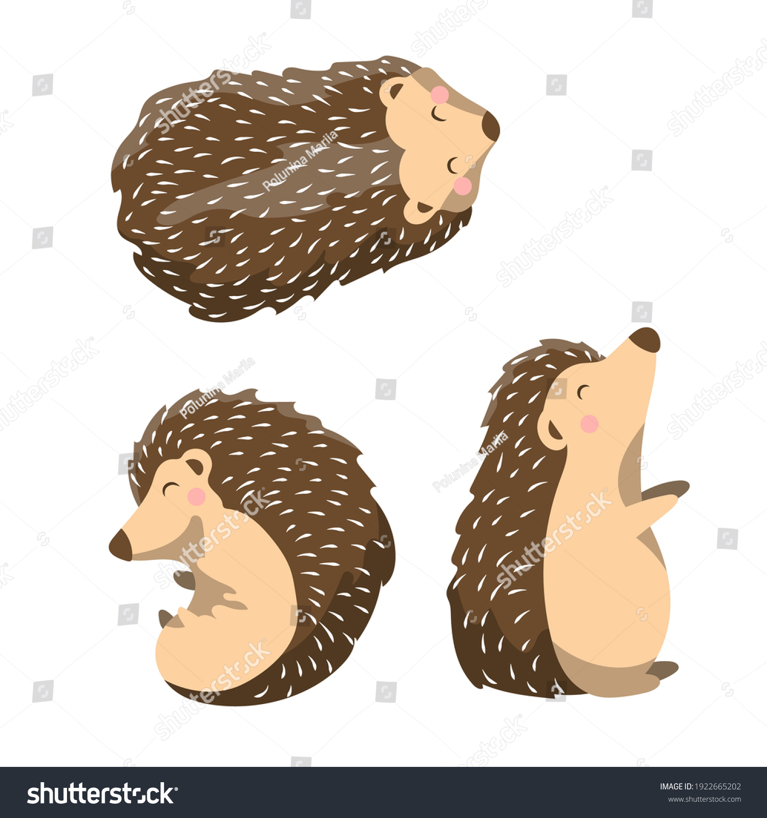 Hedgehogs Stock Vectors, Images & Vector Art | Shutterstock