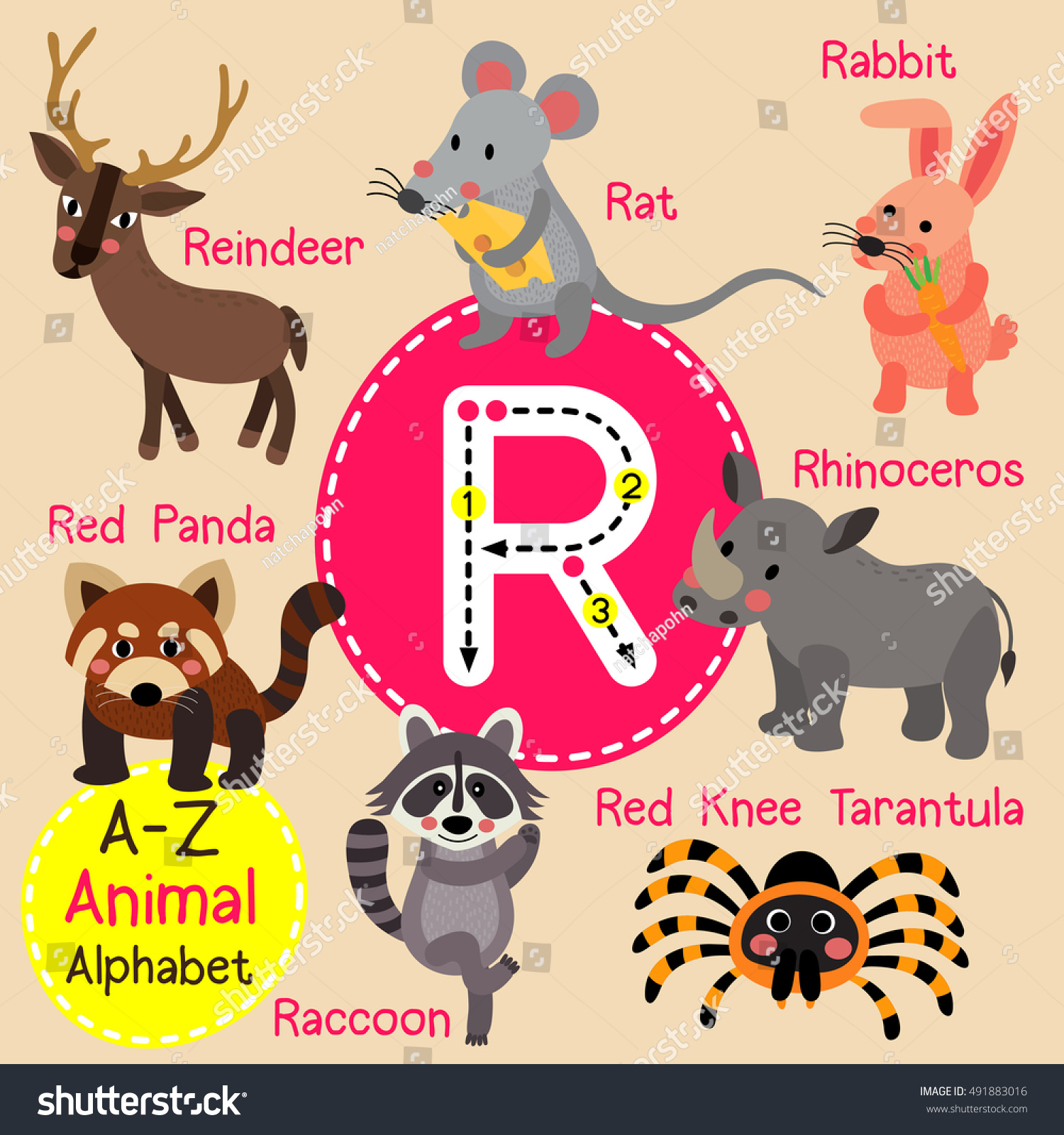 Cute Children Zoo Alphabet R Letter Stock Vector 491883016 - Shutterstock